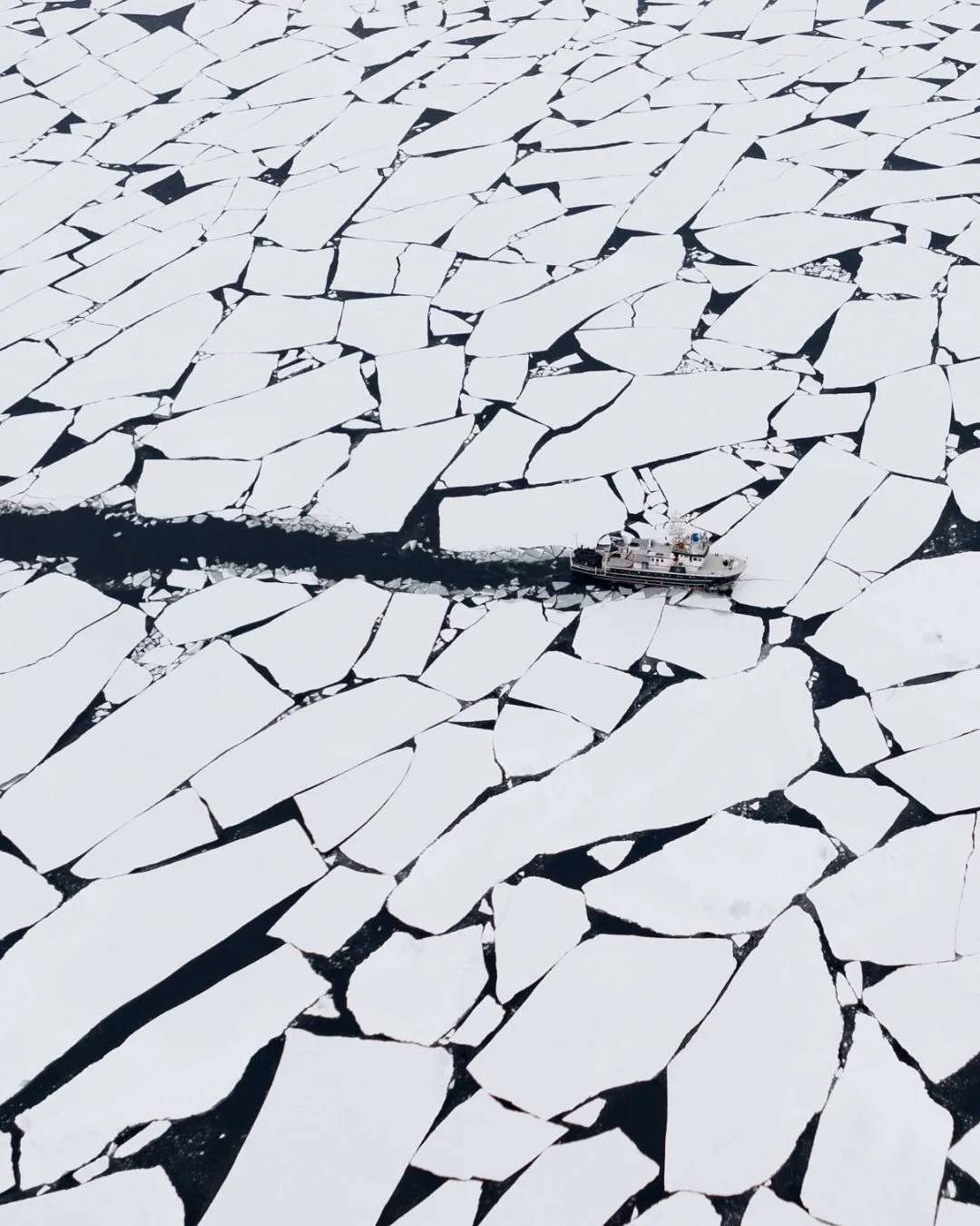 A new frontier for COMO.

In partnership with&nbsp;Natural World Safaris, COMO Hotels &amp; Resorts is venturing north &mdash; introducing&nbsp;COMO Journey: Into the Arctic, a rare expedition through&nbsp;Norway&rsquo;s Svalbard Archipelago. Two dep