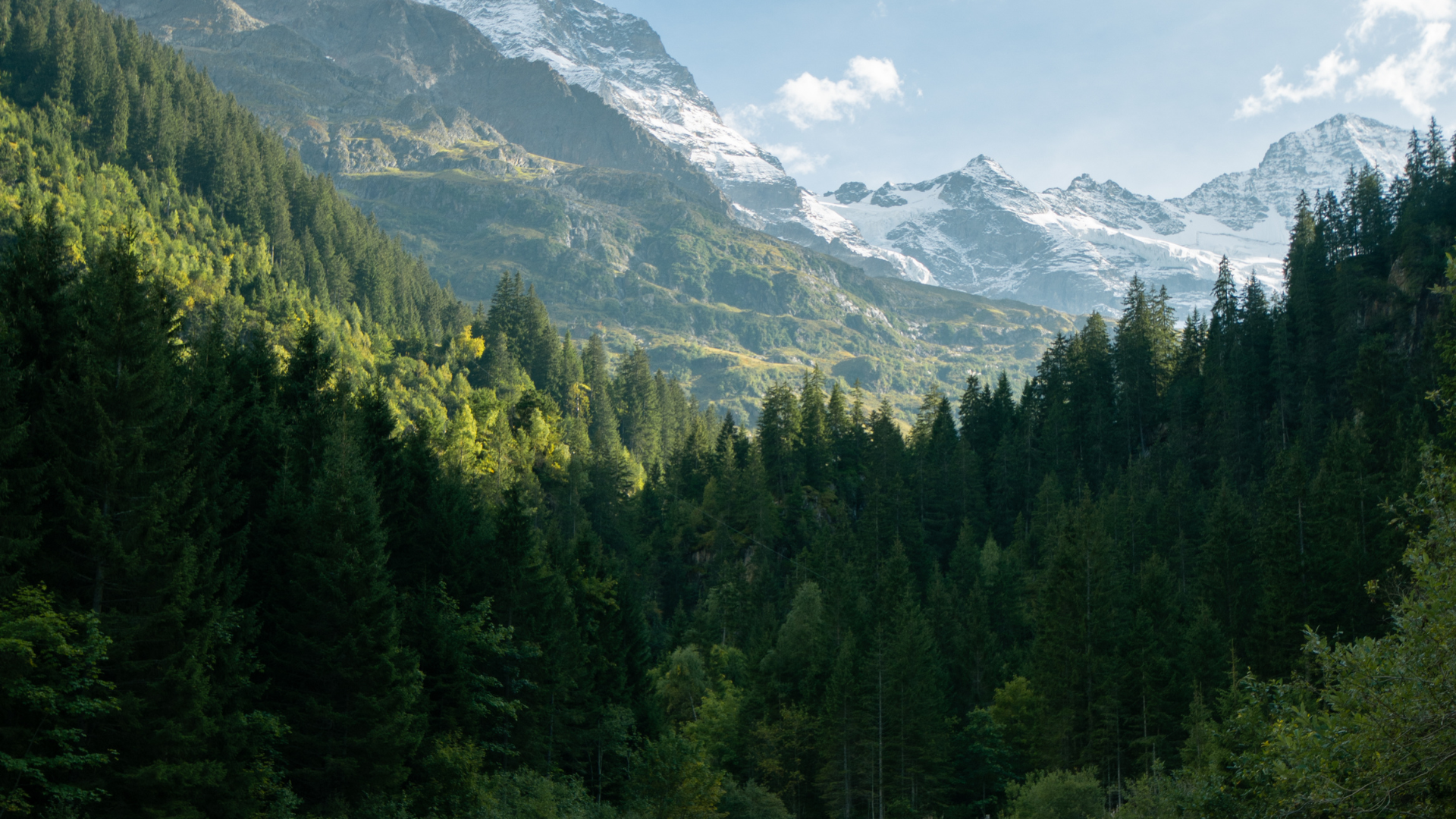Victoria-Jungfrau-Switzerland-Hotel4.png