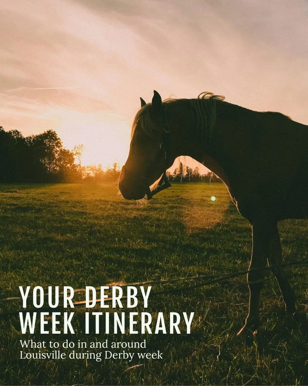 The Kentucky Derby isn&rsquo;t just one day.

It&rsquo;s the time before, learning about the history and traditions of the race in Louisville, the race itself and the days after in the Kentucky countryside.

A full experience, start to finish.

Let u