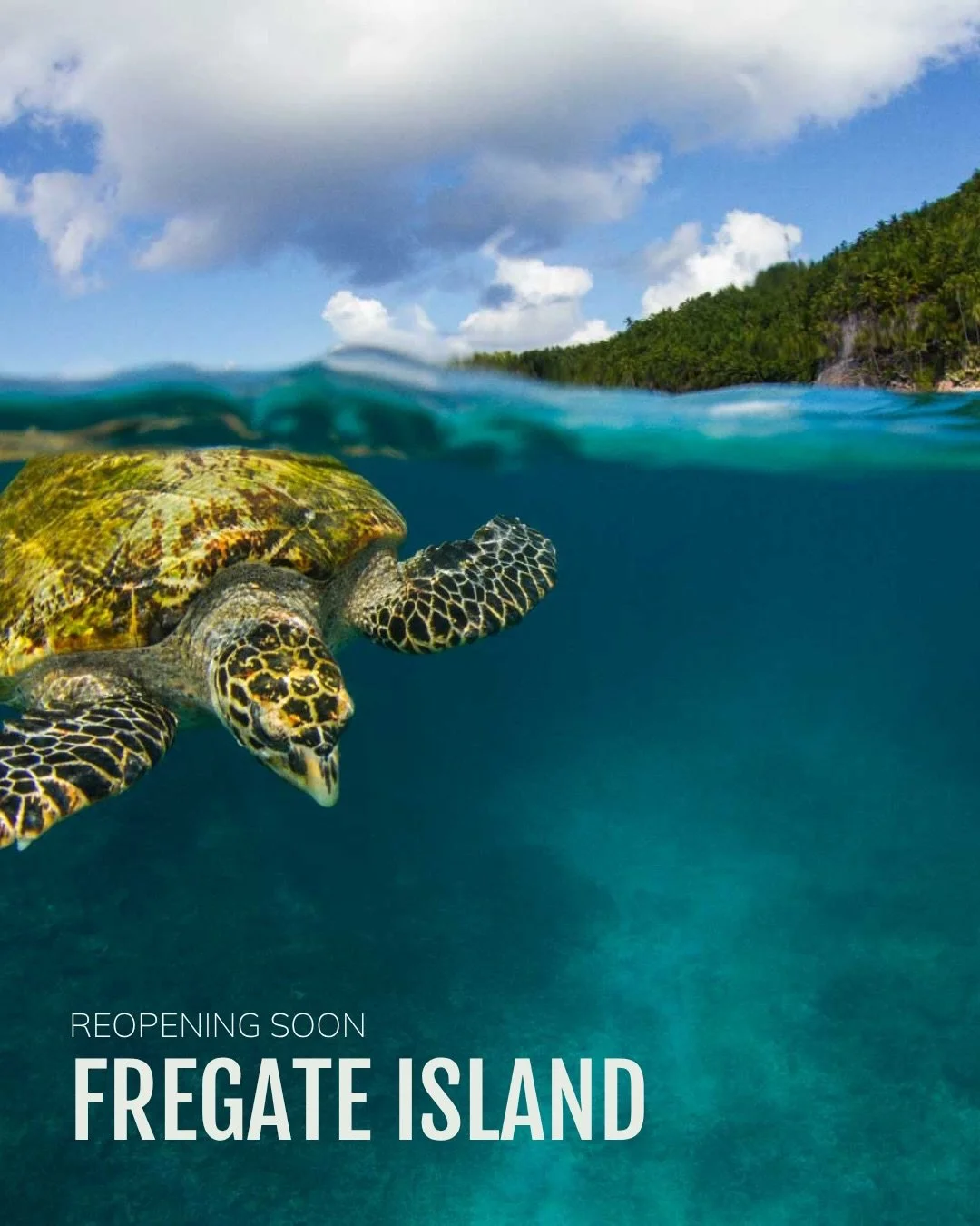 Fregate Seychelles is coming back and it was worth the wait.

After a full transformation, this private island is set to reopen in 2026 with just a handful of villas, reimagined spaces and an even stronger focus on privacy, sustainability and conserv