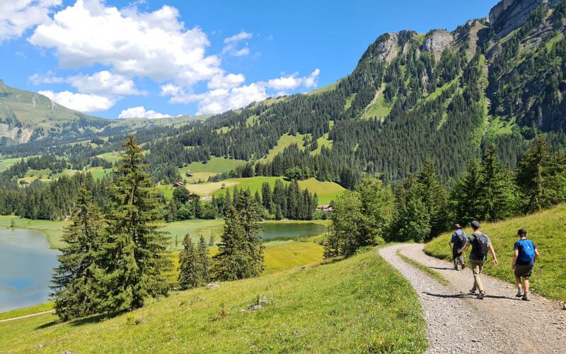 Wispile to Lake Lauenen Hike