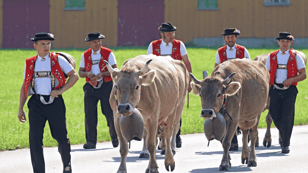 Yodeling Workshop