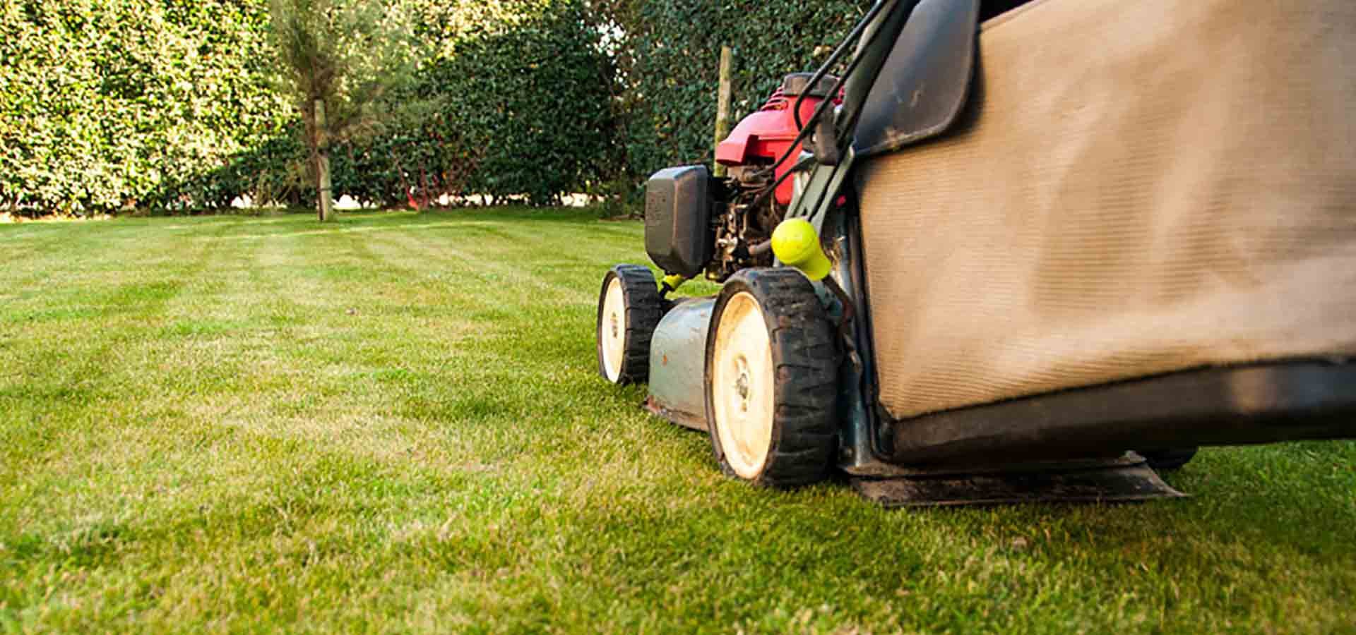 Lawnmower on a grass lawn with trees and bush in the background.