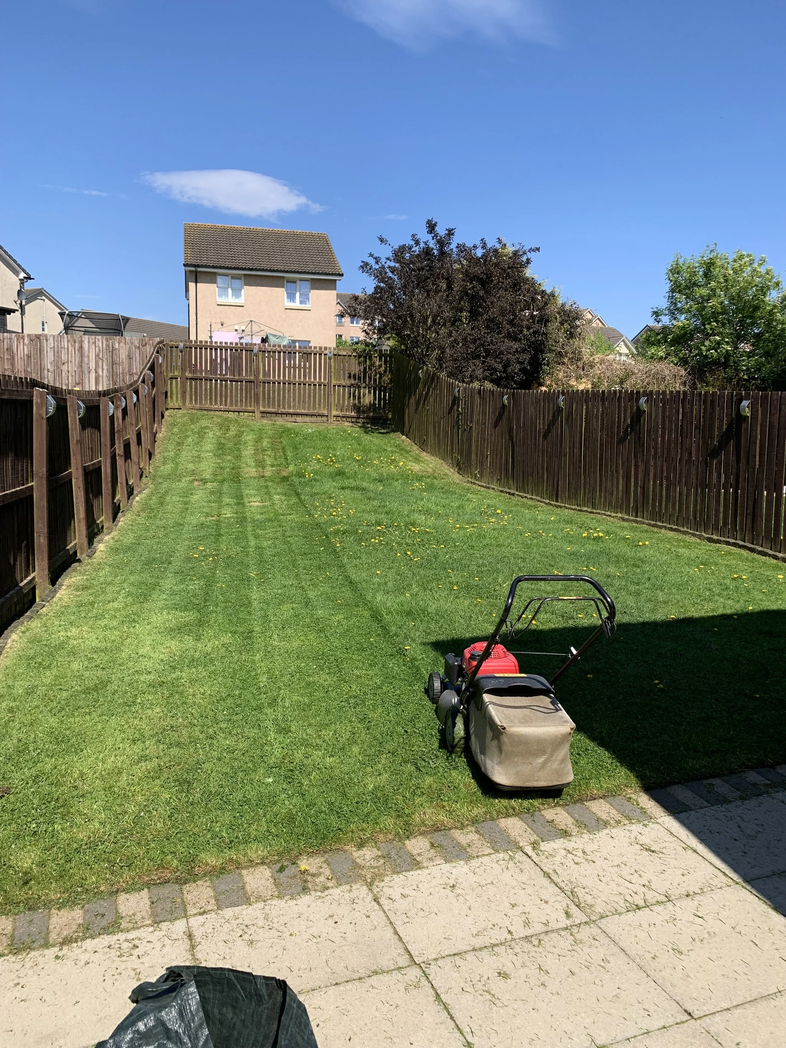 A backyard lawn with a lawnmower and a bag on a paved patio, surrounded by a wooden fence, with houses and trees in the background under a clear blue sky.