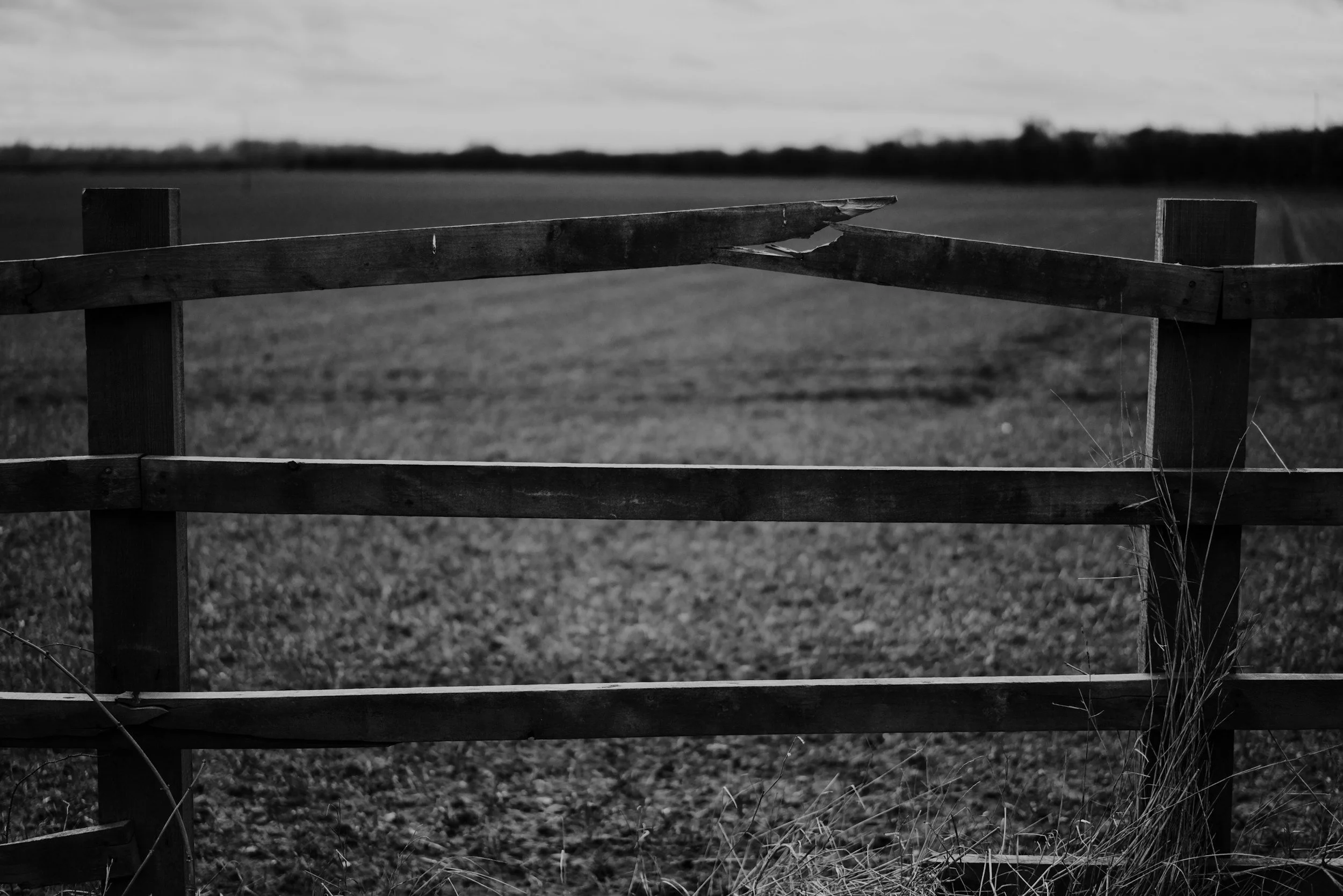 Rebuilding Trust in Community