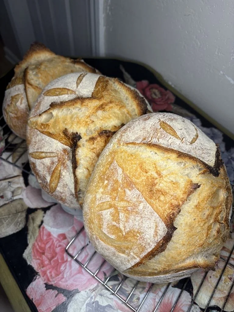 Straight Sourdough Boule