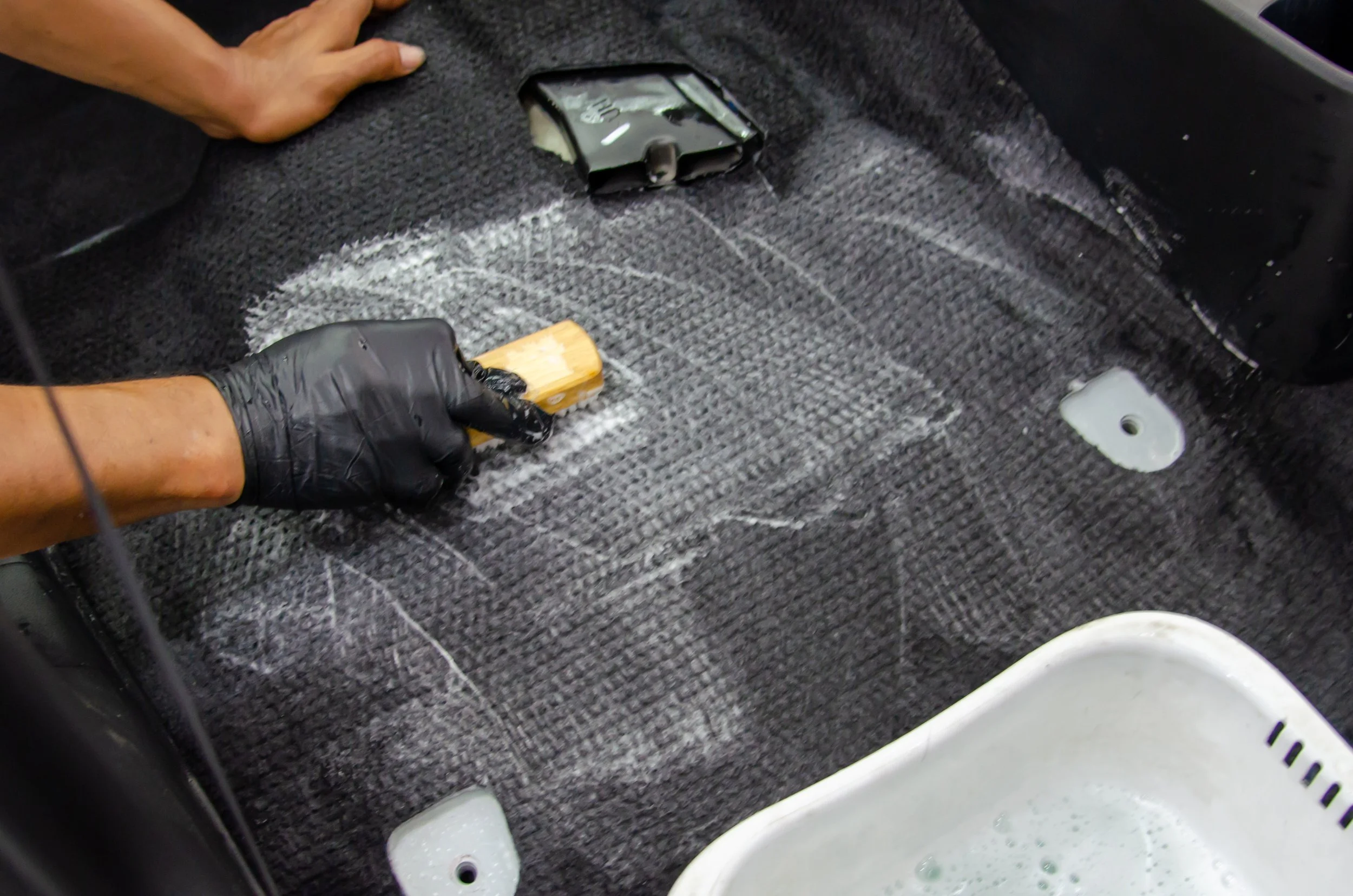 Steam and Shampoo Carpet