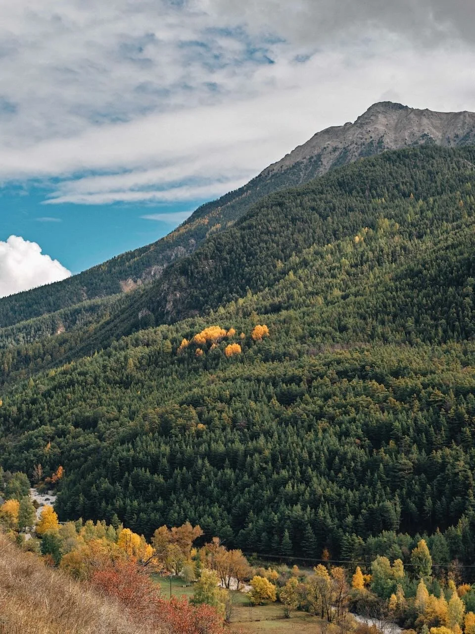 A mountain covered in dense green trees with a few patches of yellow and orange foliage. The sky above has scattered clouds.
