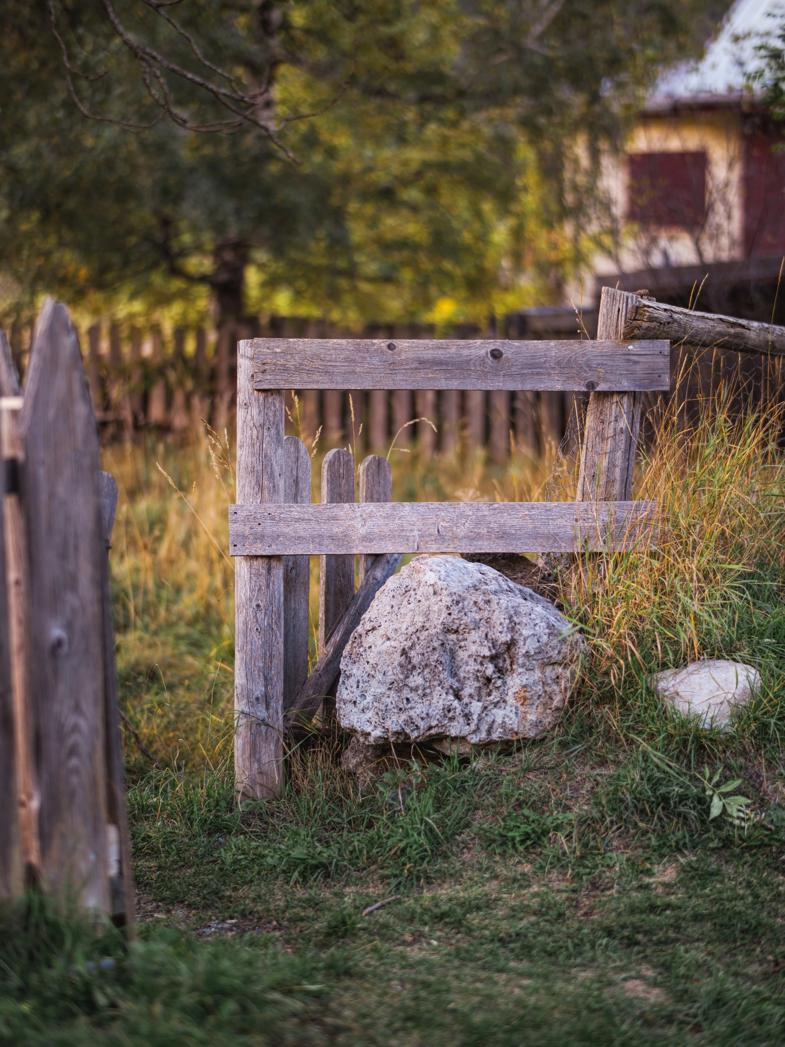 Old wooden garden fence with a large rock and grass in front, trees and a building in the background.