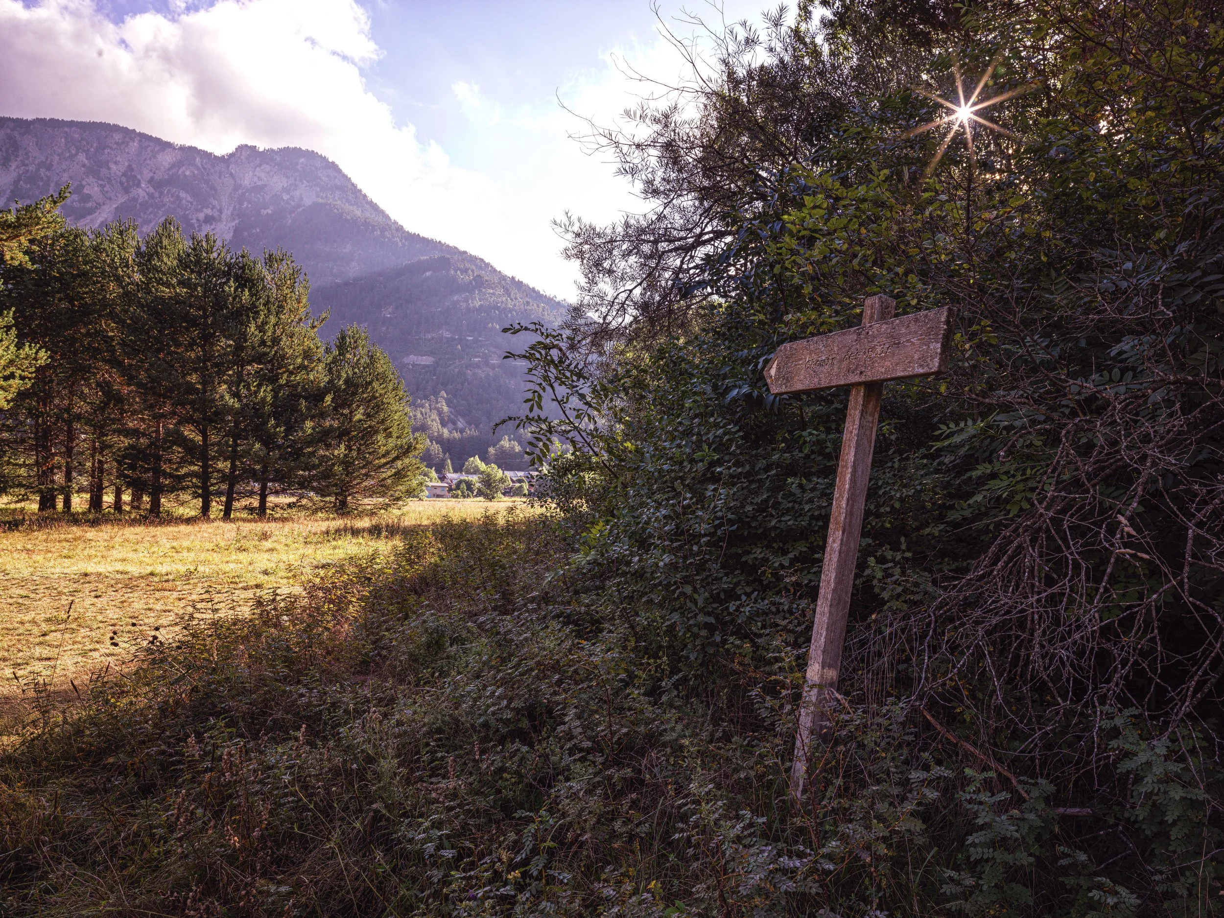 Sunlight shining through trees in a mountainous landscape with a weathered wooden signpost and a field in the foreground.