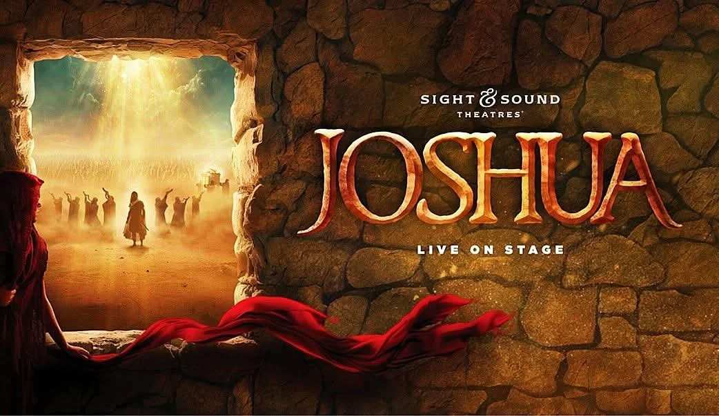 Joshua Sight and Sound Trip