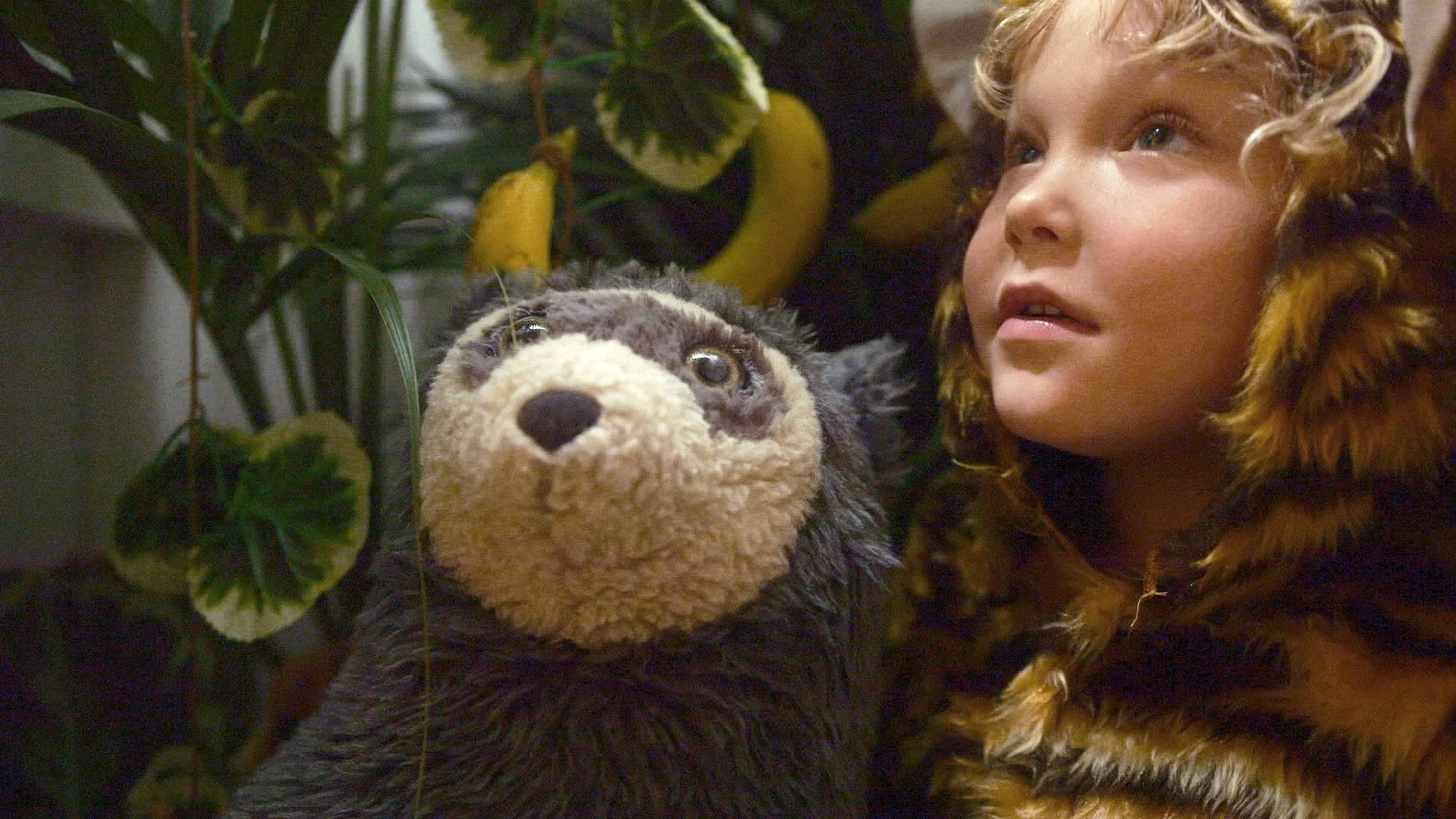 Brillebjørn 02.jpeg