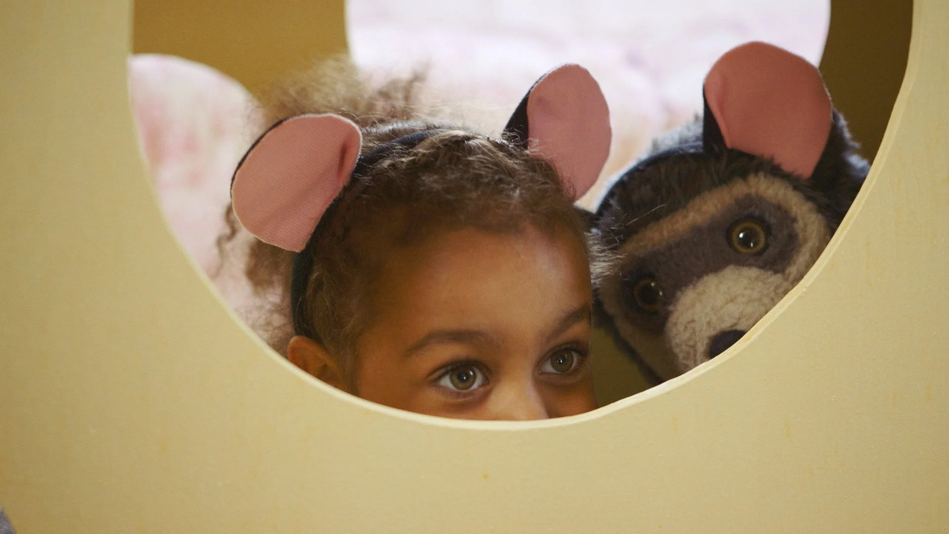 Brillebjørn 01.jpeg