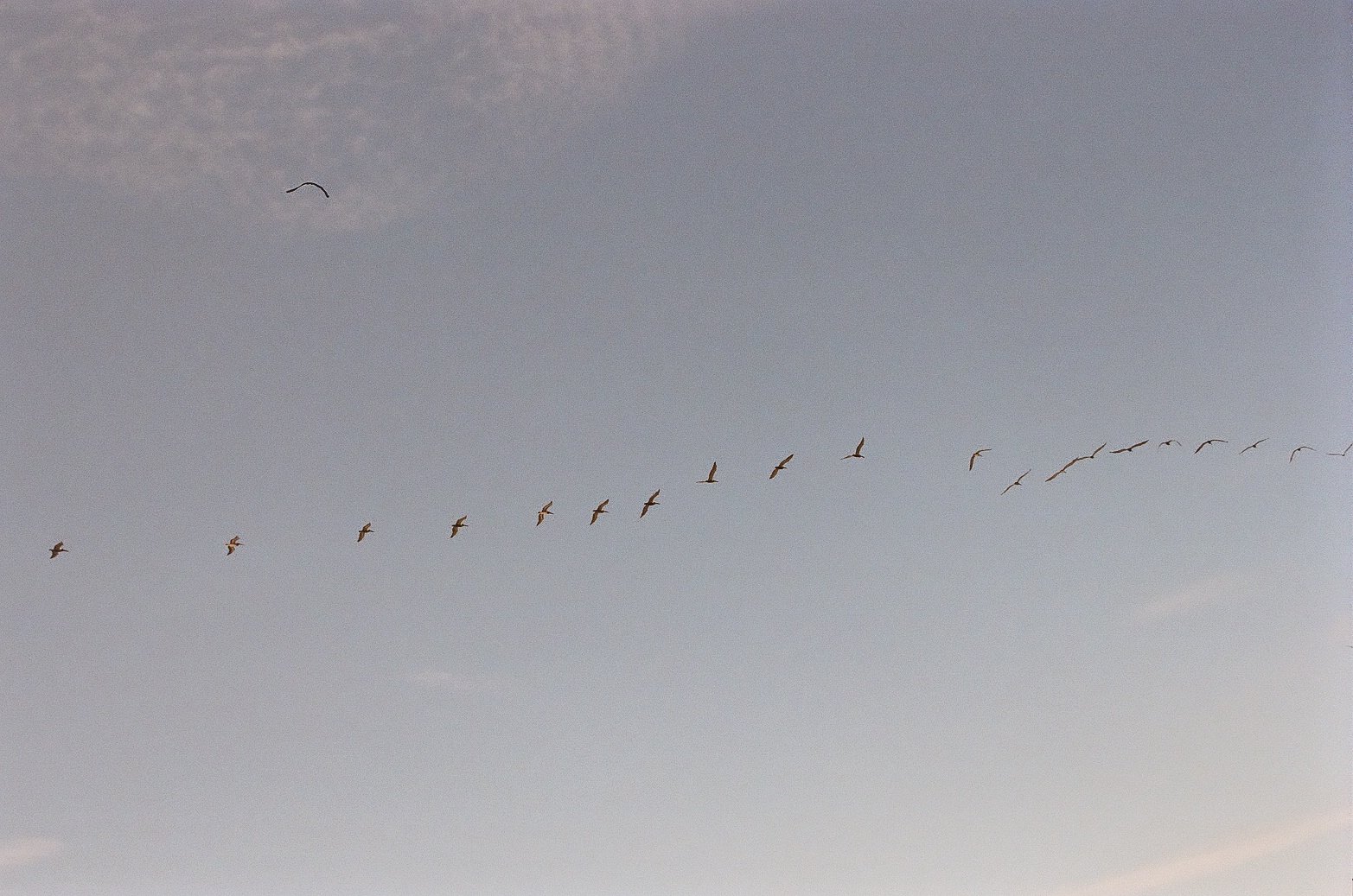 Attention, as a Practice