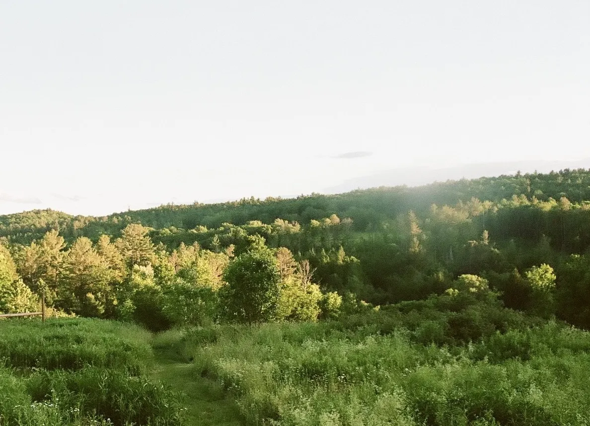 Strong Back, Open Heart