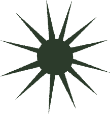 A dark green starburst shape with multiple pointed rays extending outward.