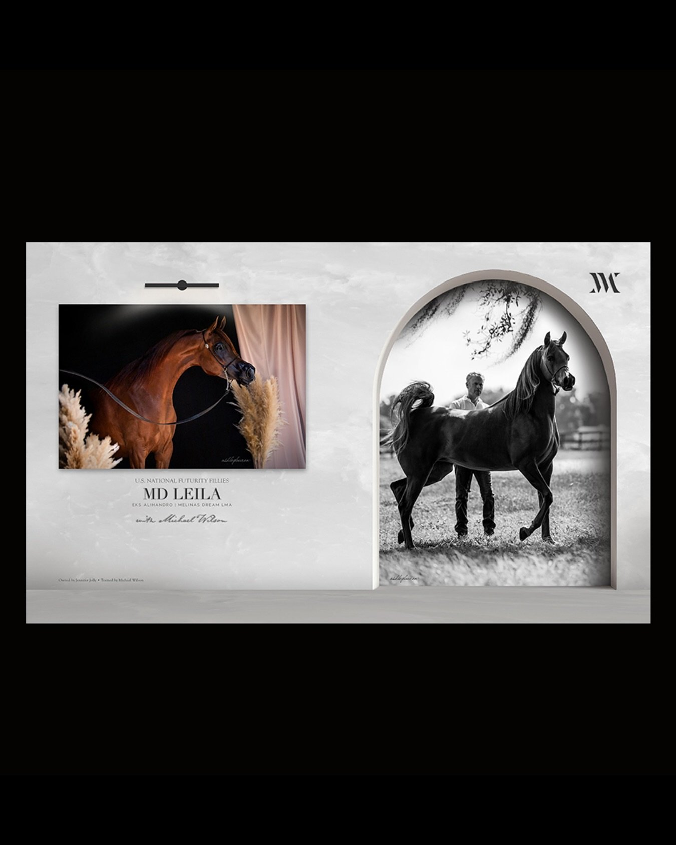 MD Leila &bull; USN Futurity Filly
Owned by @ajollyview 

@altogetherdesign 
@_ashleylaurenphoto 
@ahtimes