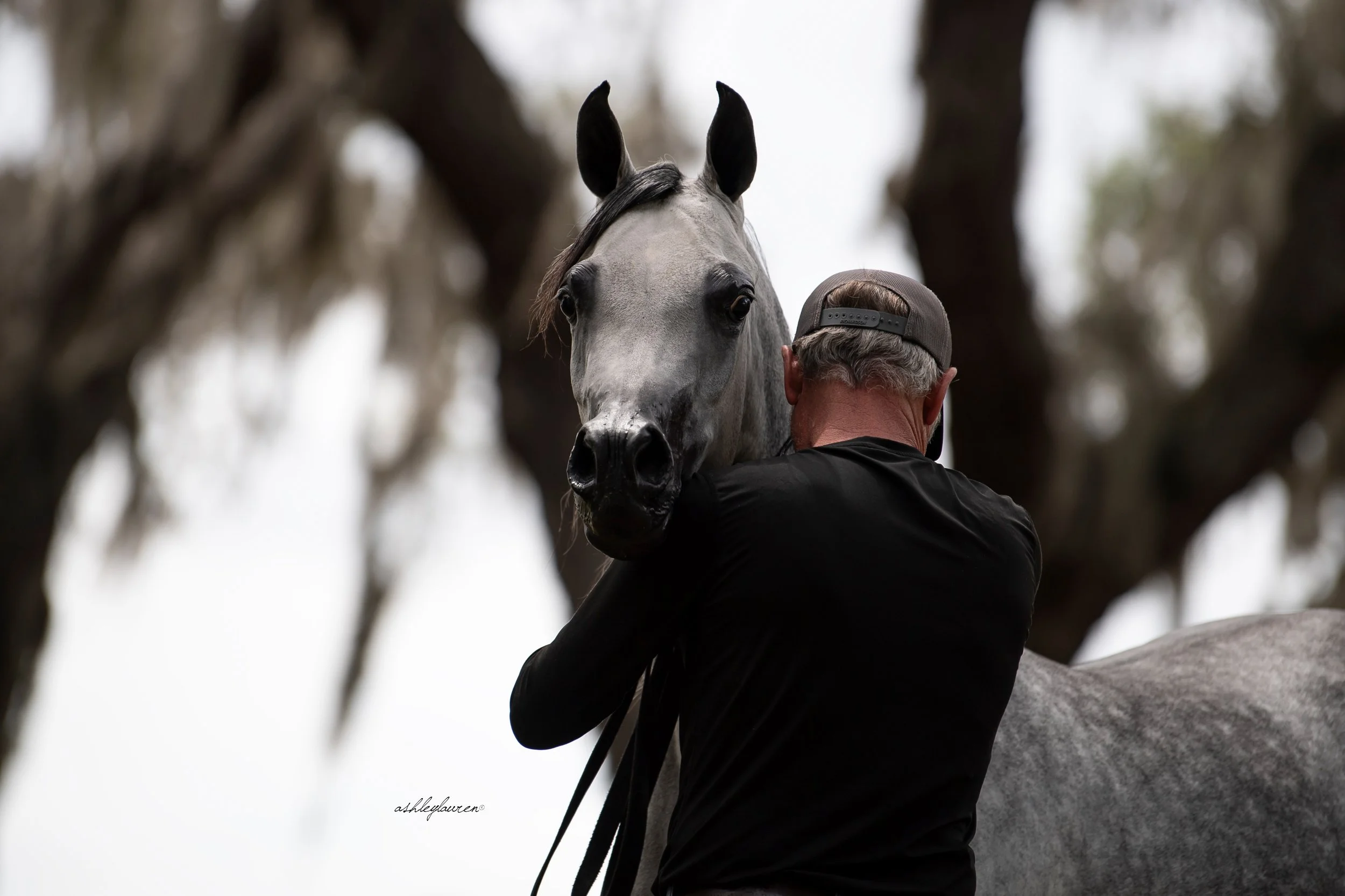 DSC_6858AshleyLaurenHR.jpg