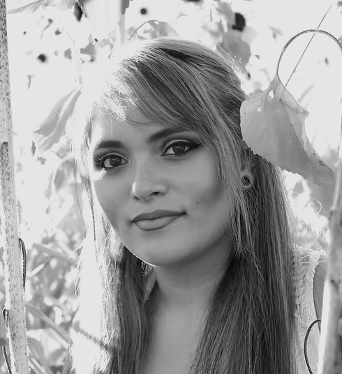 Colorful sunset sky with pink, purple, and blue clouds.