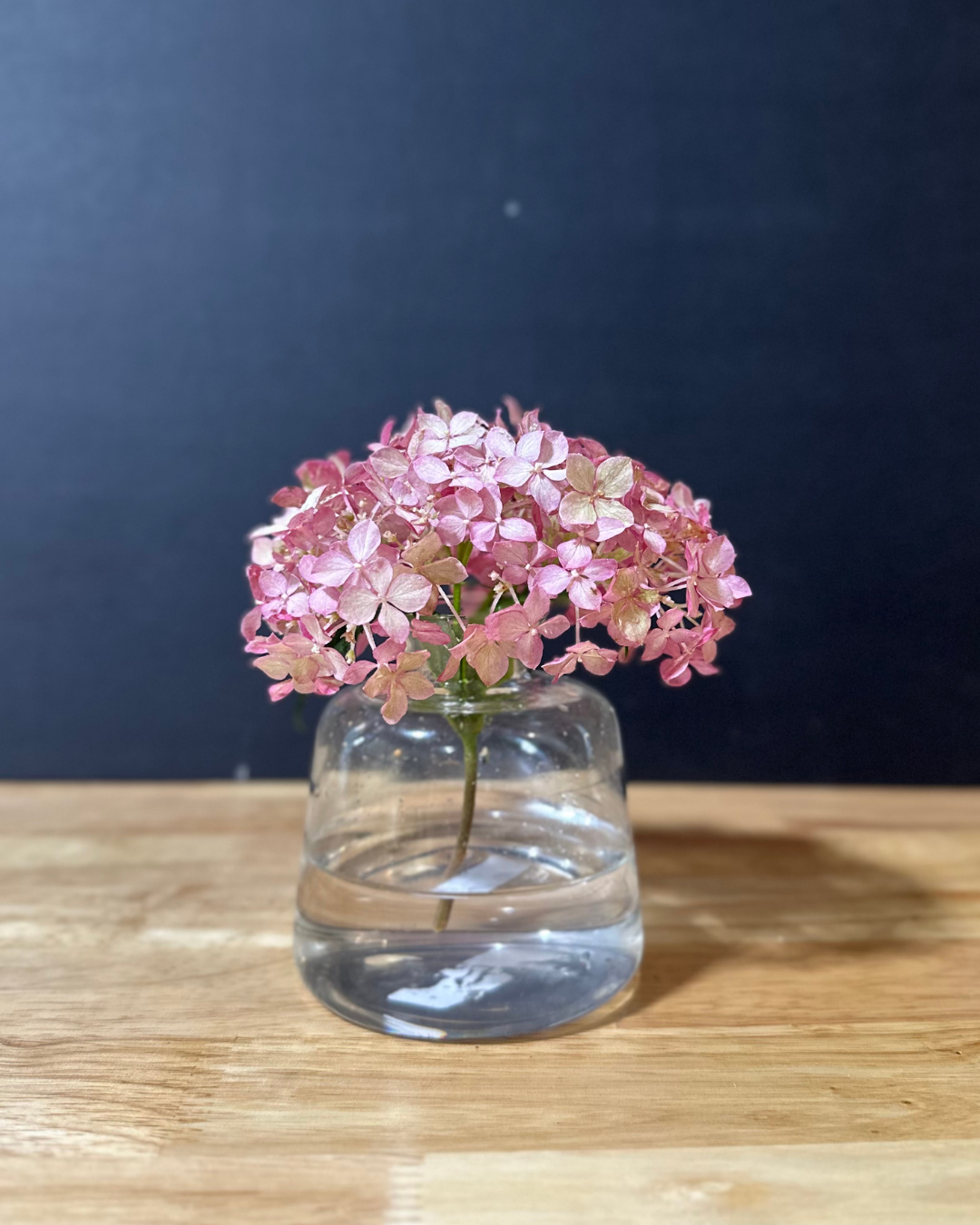 start with a hydrangea bloom to fill the vessel opening