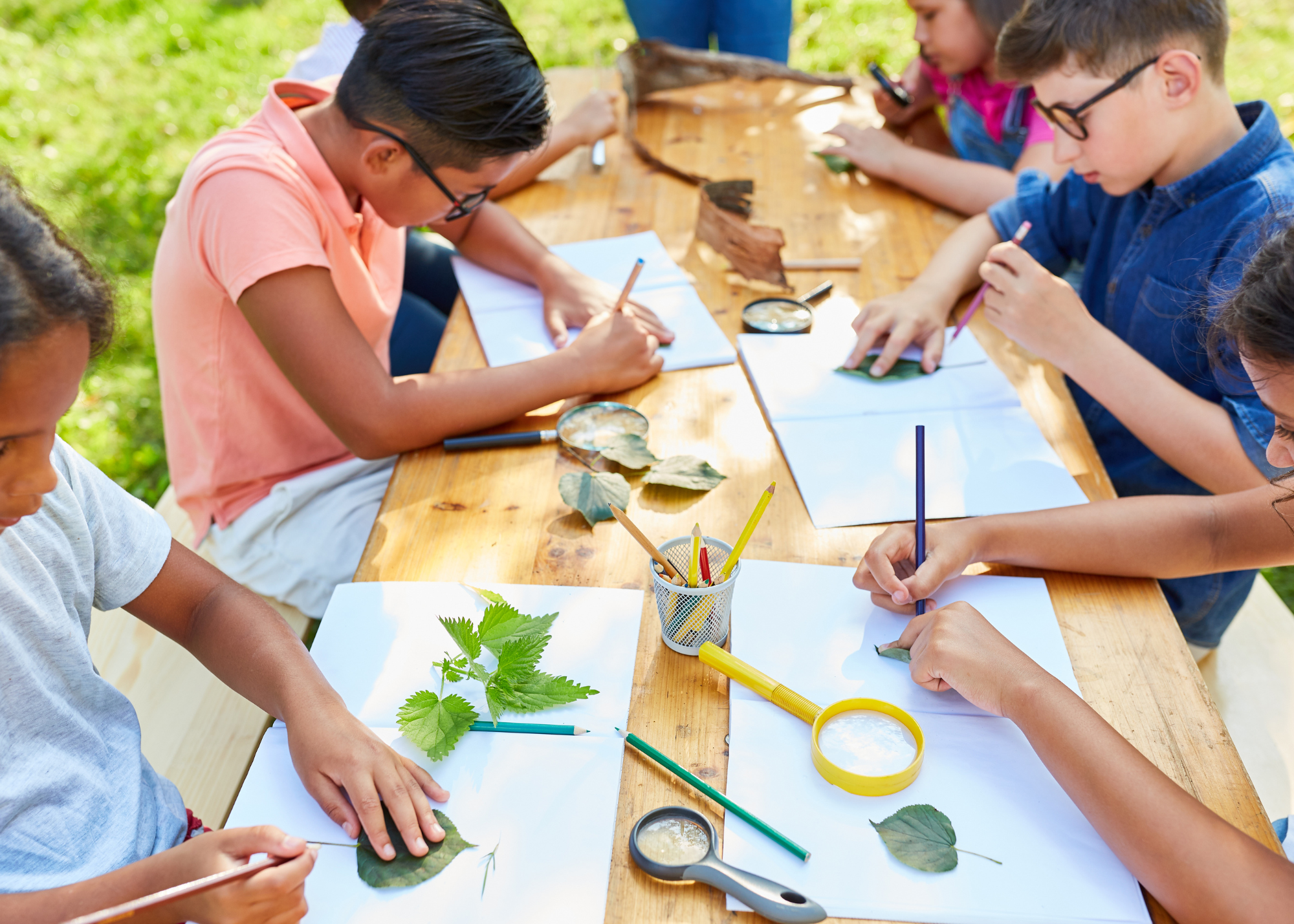 Camp d’été semaine 2 - Nature &amp; poésie