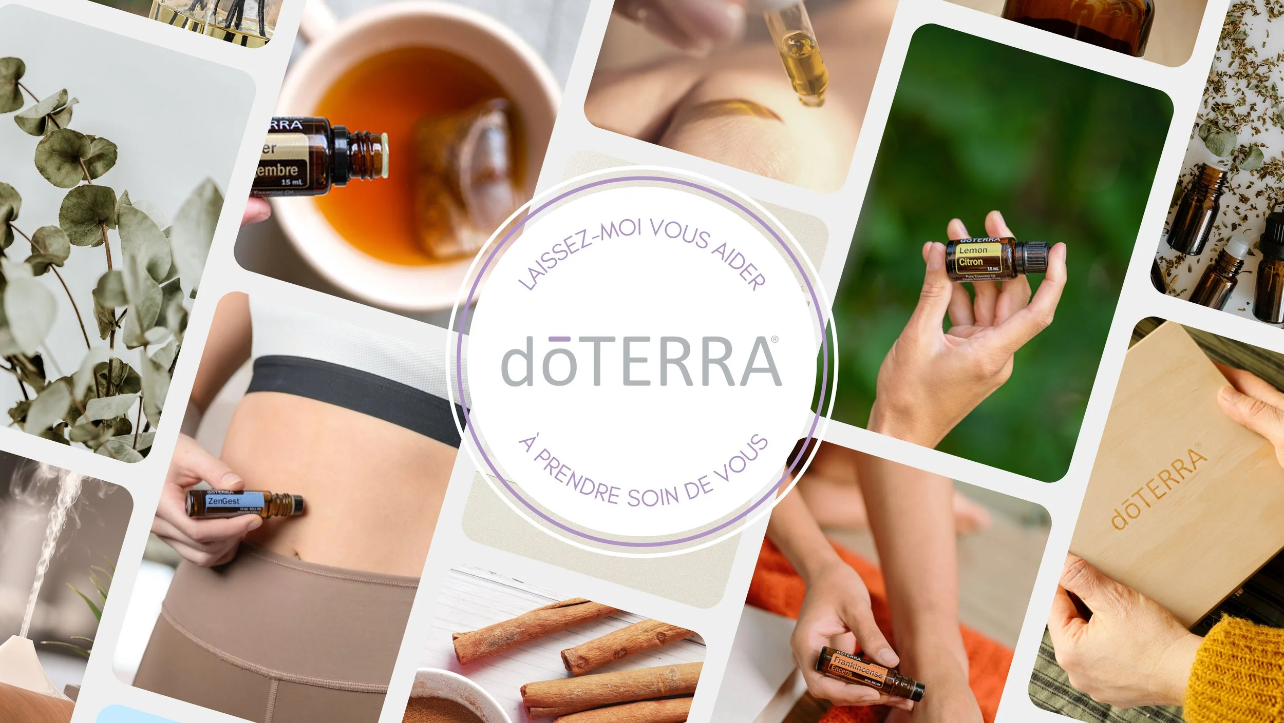 Collection de différentes huiles essentielles, plantes séchées, et produits aromatiques pour le bien-être et la santé naturelle.