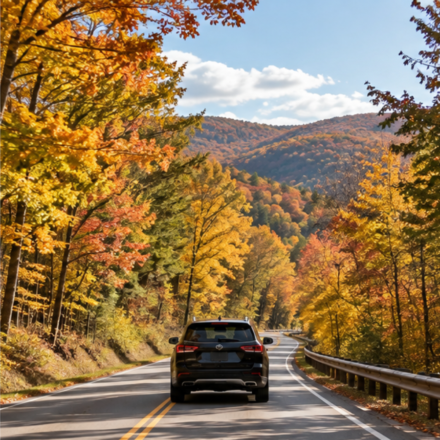 SUV traveling along a scenic road surrounded by colorful fall foliage.