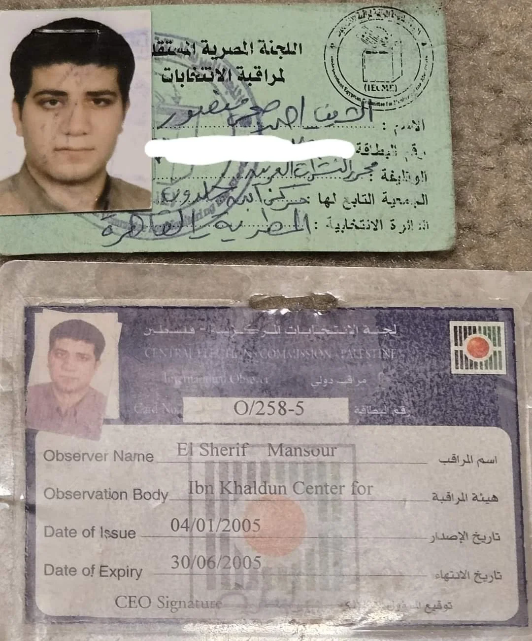 Observer cards for Egypt and Palestine