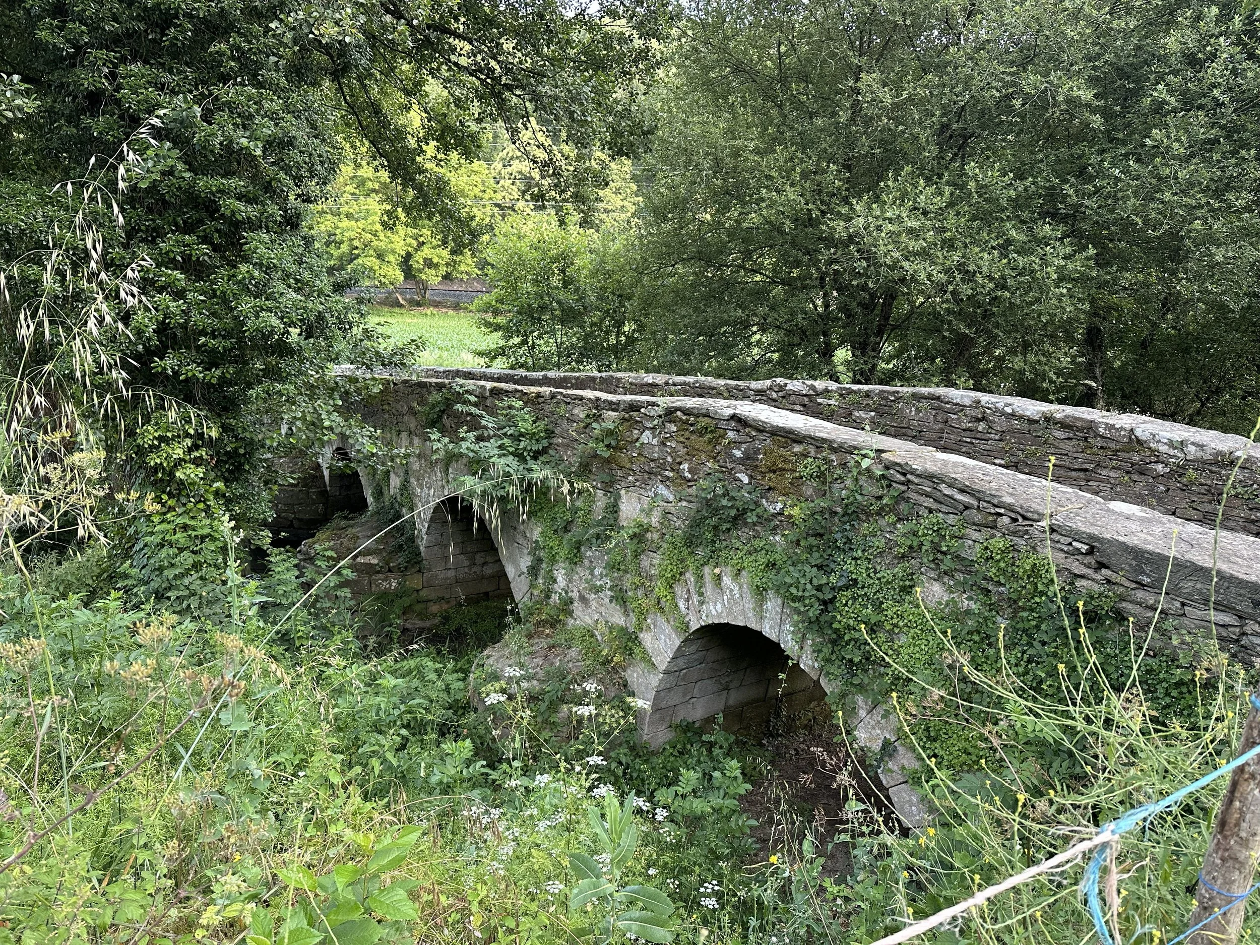 Ponte de Aspera.jpeg