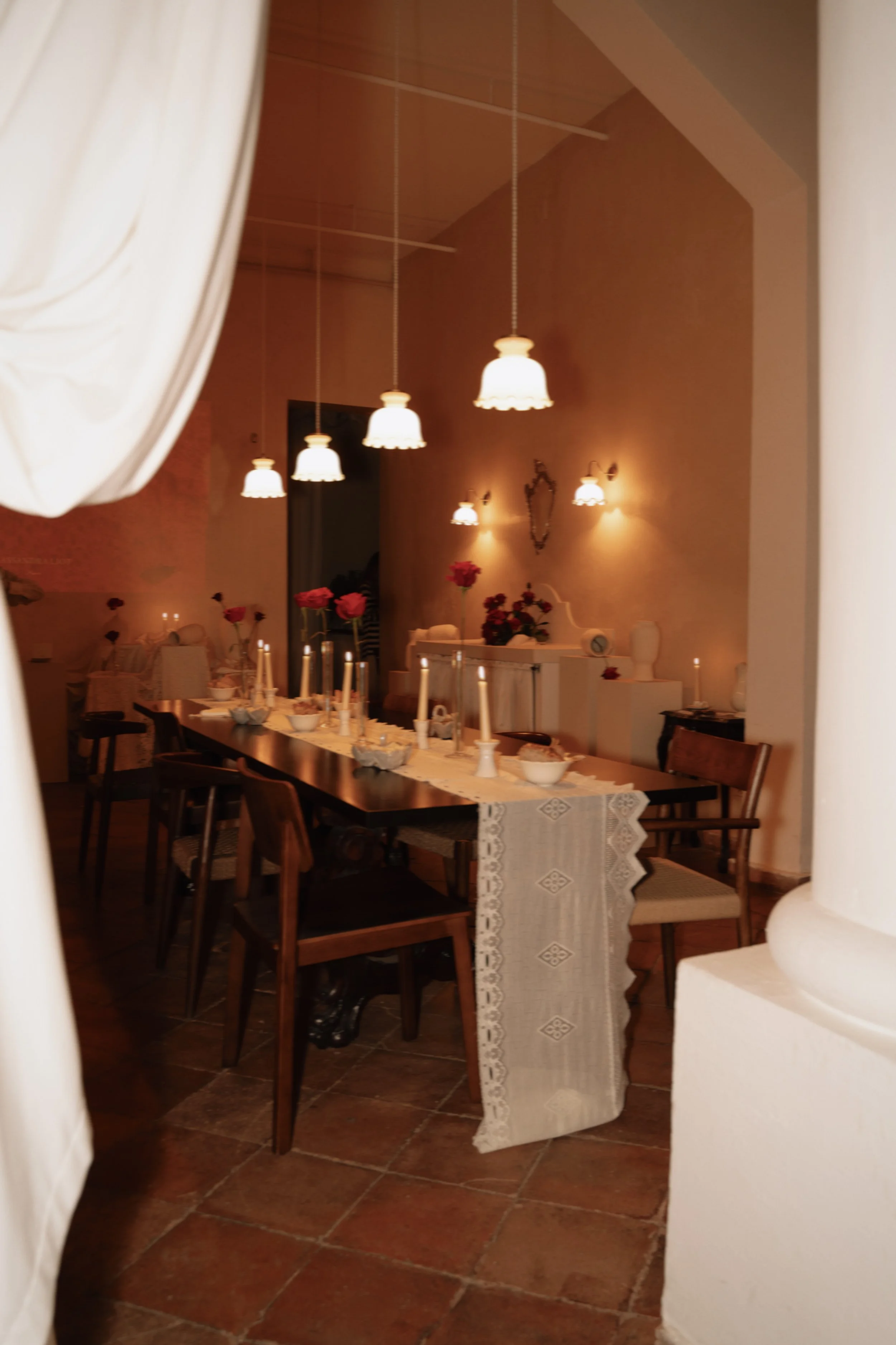 Red Roses — An Intimate Gathering in Madrid