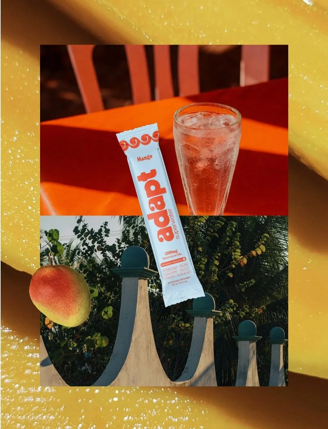 Mango_What+is+it.jpg