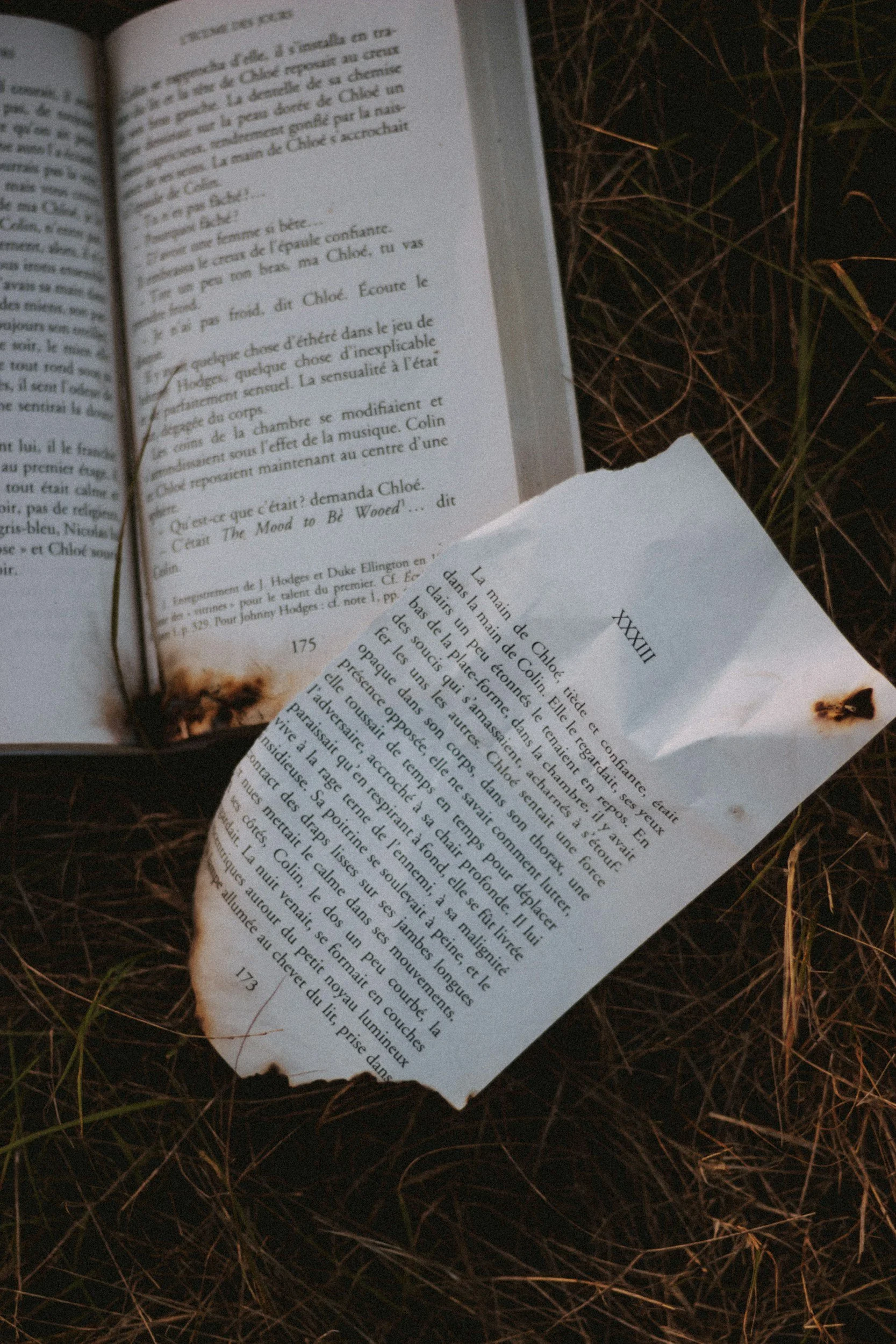 Books Do Not Make a Reader: Rethinking Literacy, Literature, and the Myth of the “Book Lover”