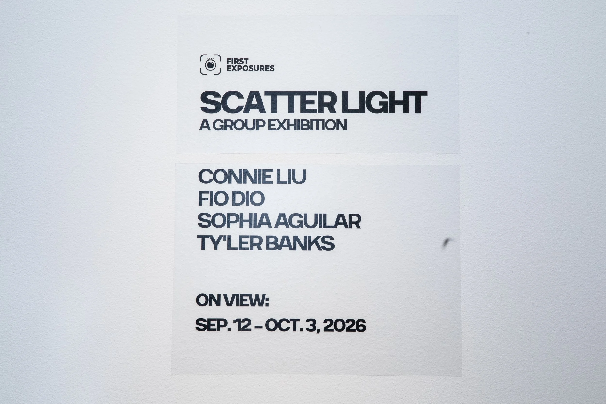 20260912_FX_Scatter Light -8Web.jpg