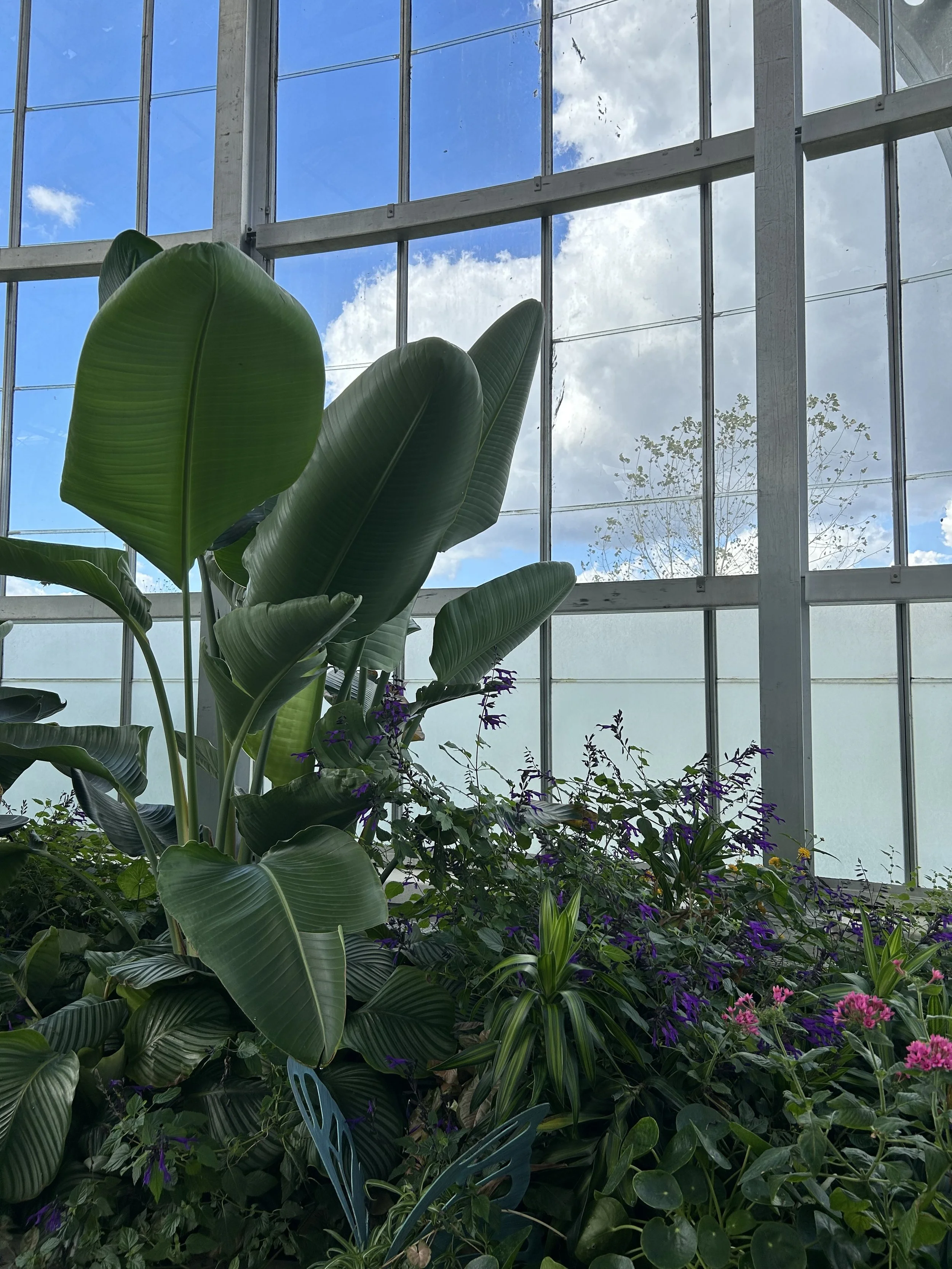 From Botanical Gardens