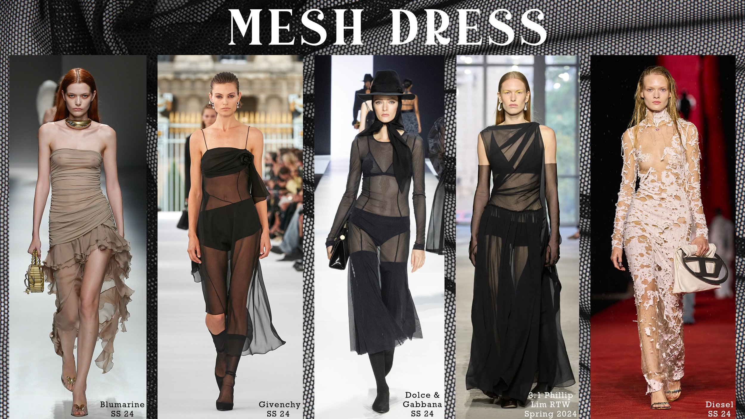 mesh dress.jpg