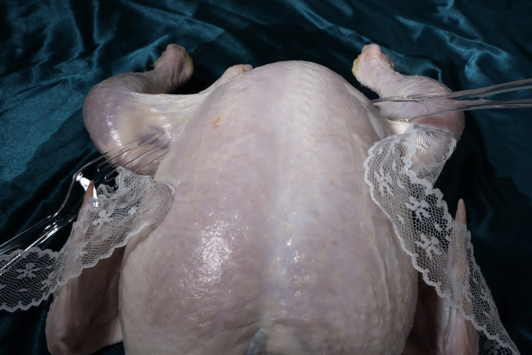 1209 welcome welcome-0091.jpg