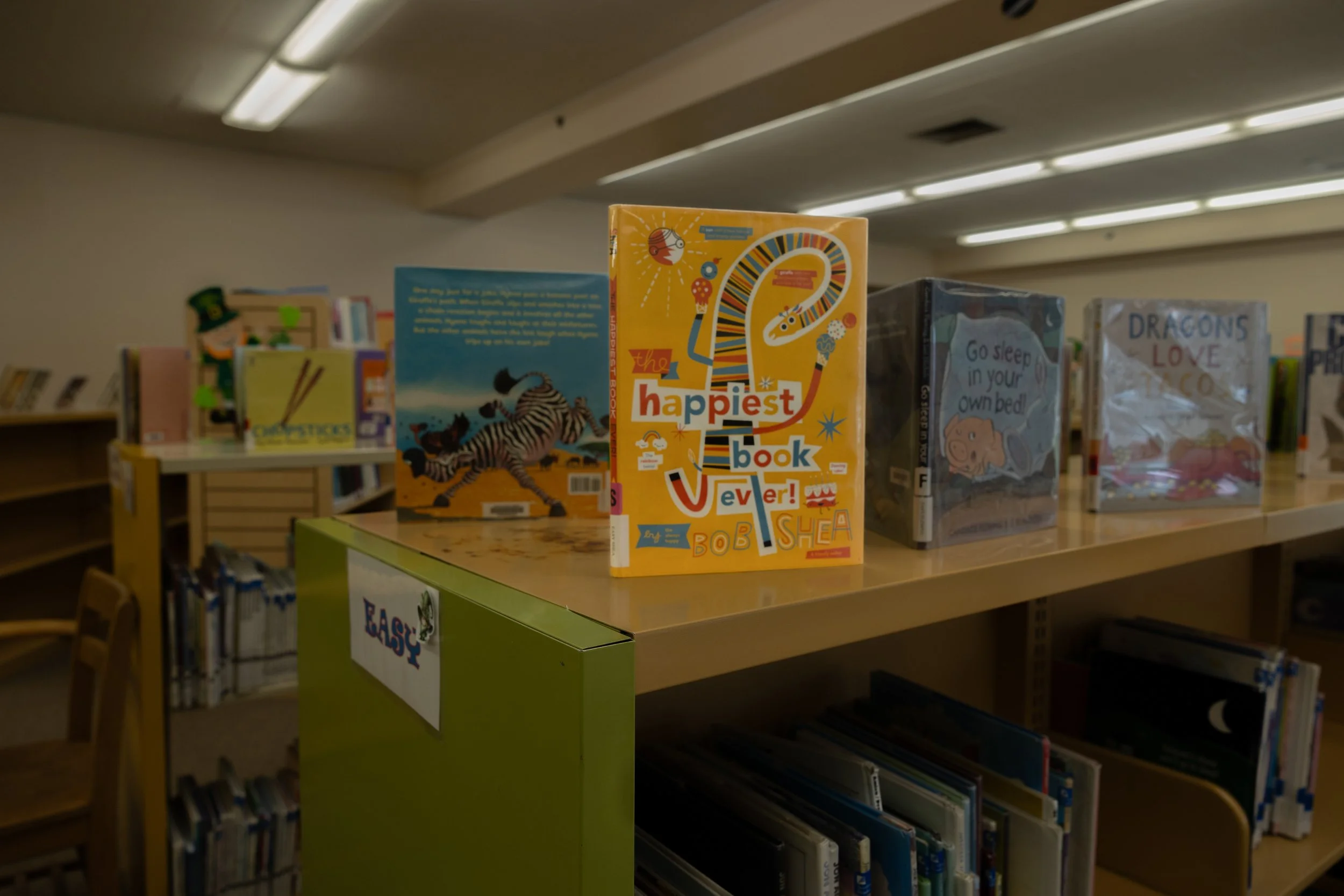 Library Project Phase 2-9.jpg