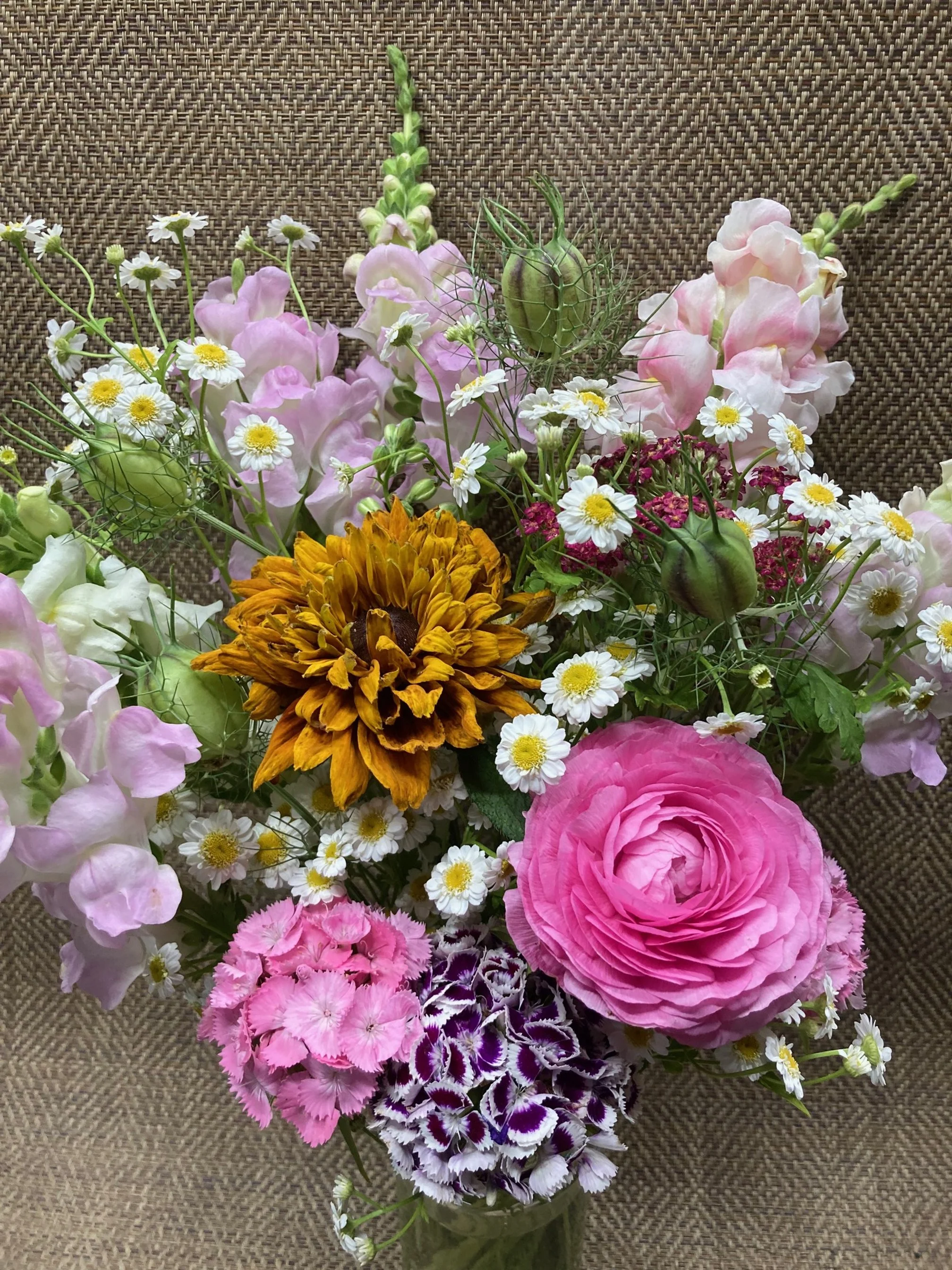 ranunculus, snapdragons, sweet William, feverfew, yarrow, rudbeckia, and nigella seed pods