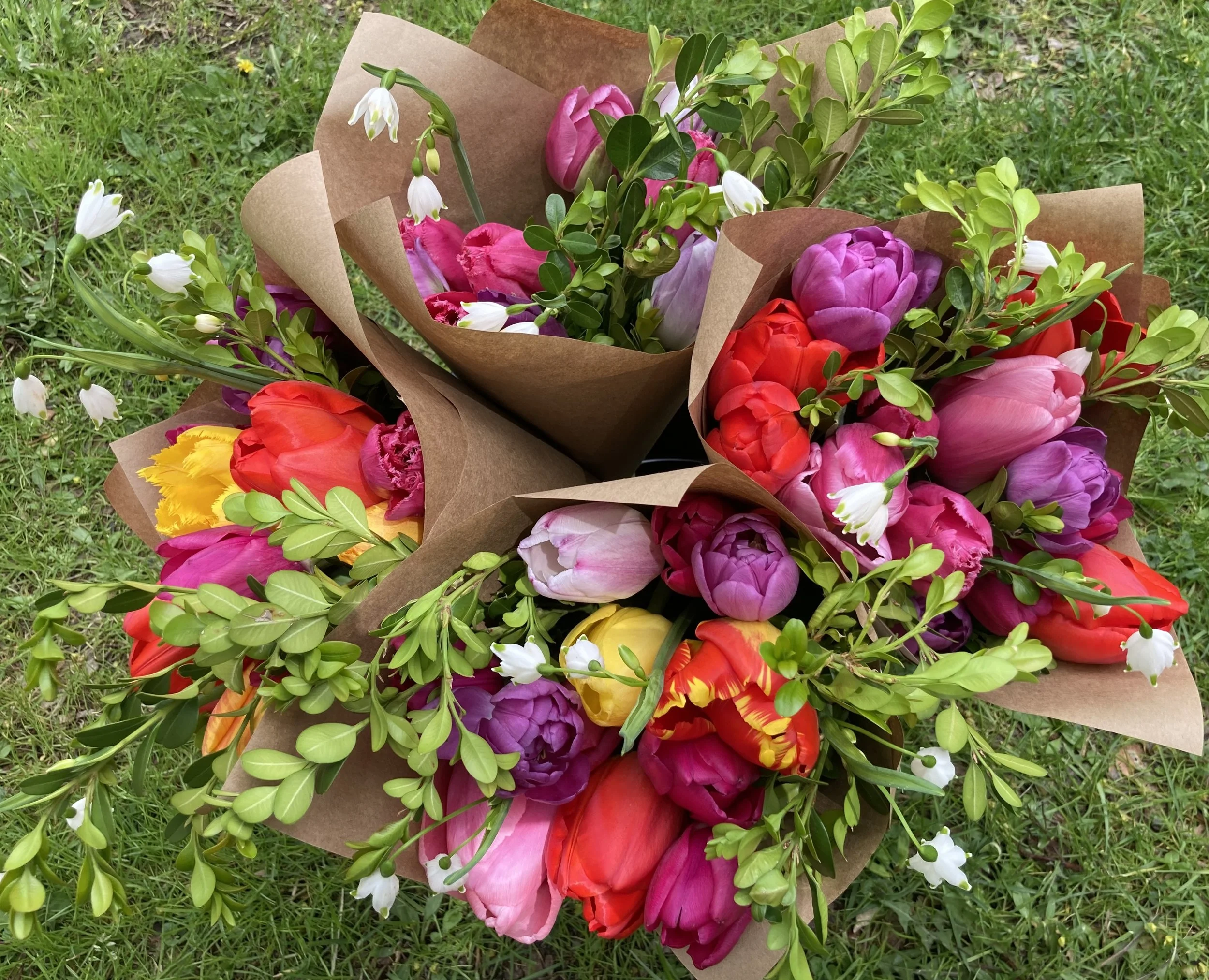 tulip bouqs to Hopewell Mkt 050226.jpg