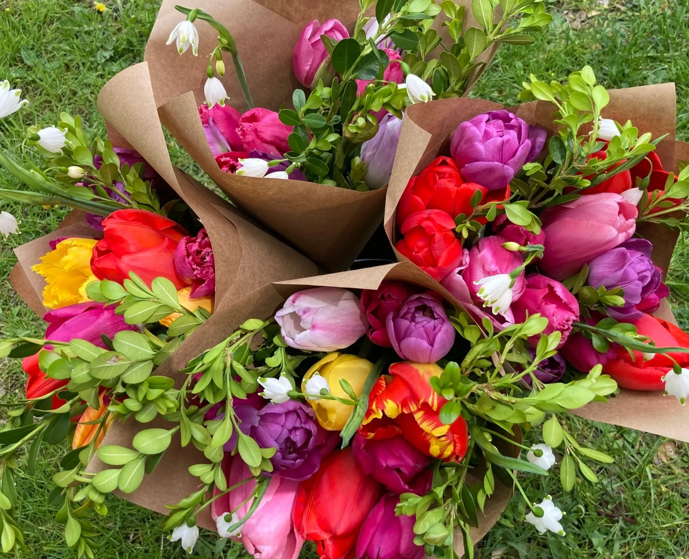 May 2, 2026 - Tulip Bouquets at Hopewell Market