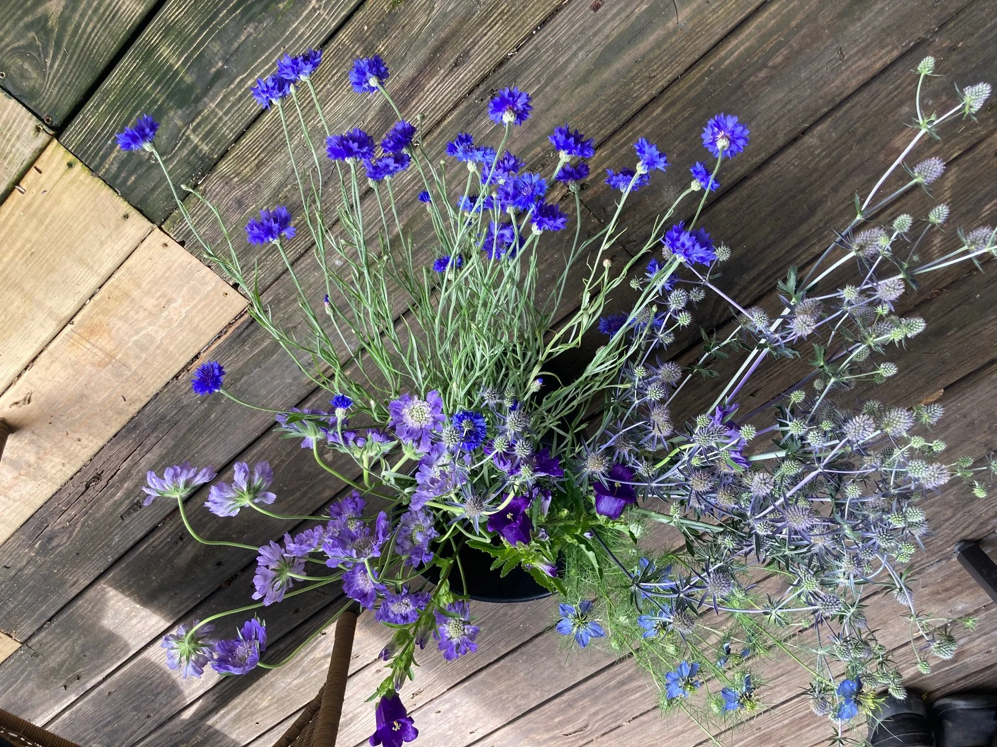 bucket of blue flowers used