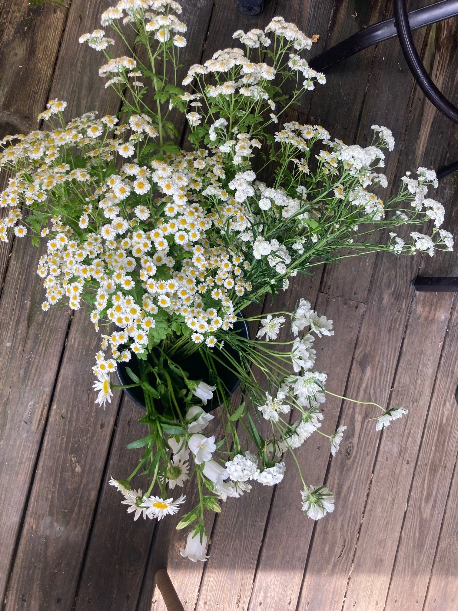 bucket of white flowers used