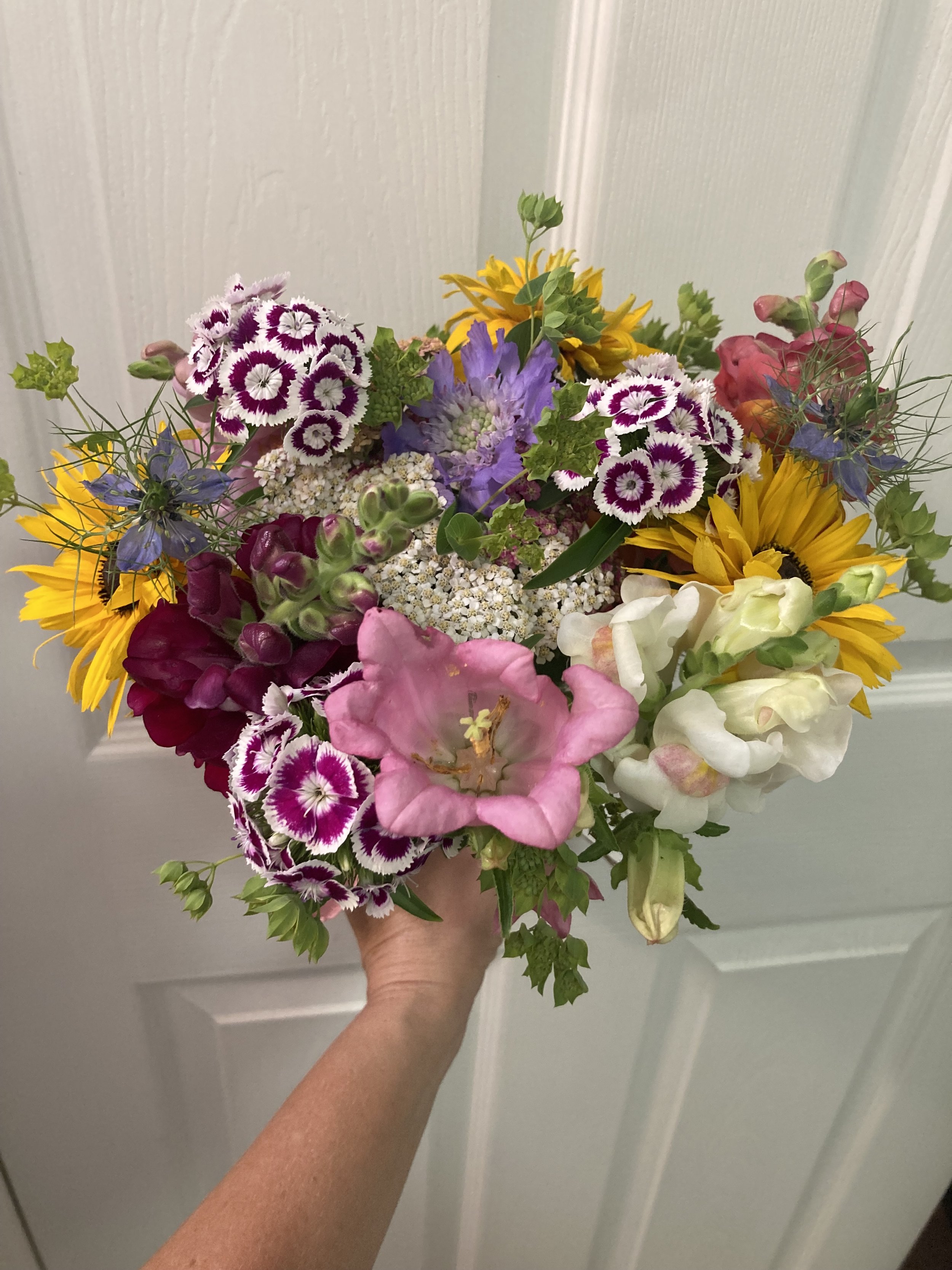 image2 (6).jpeg