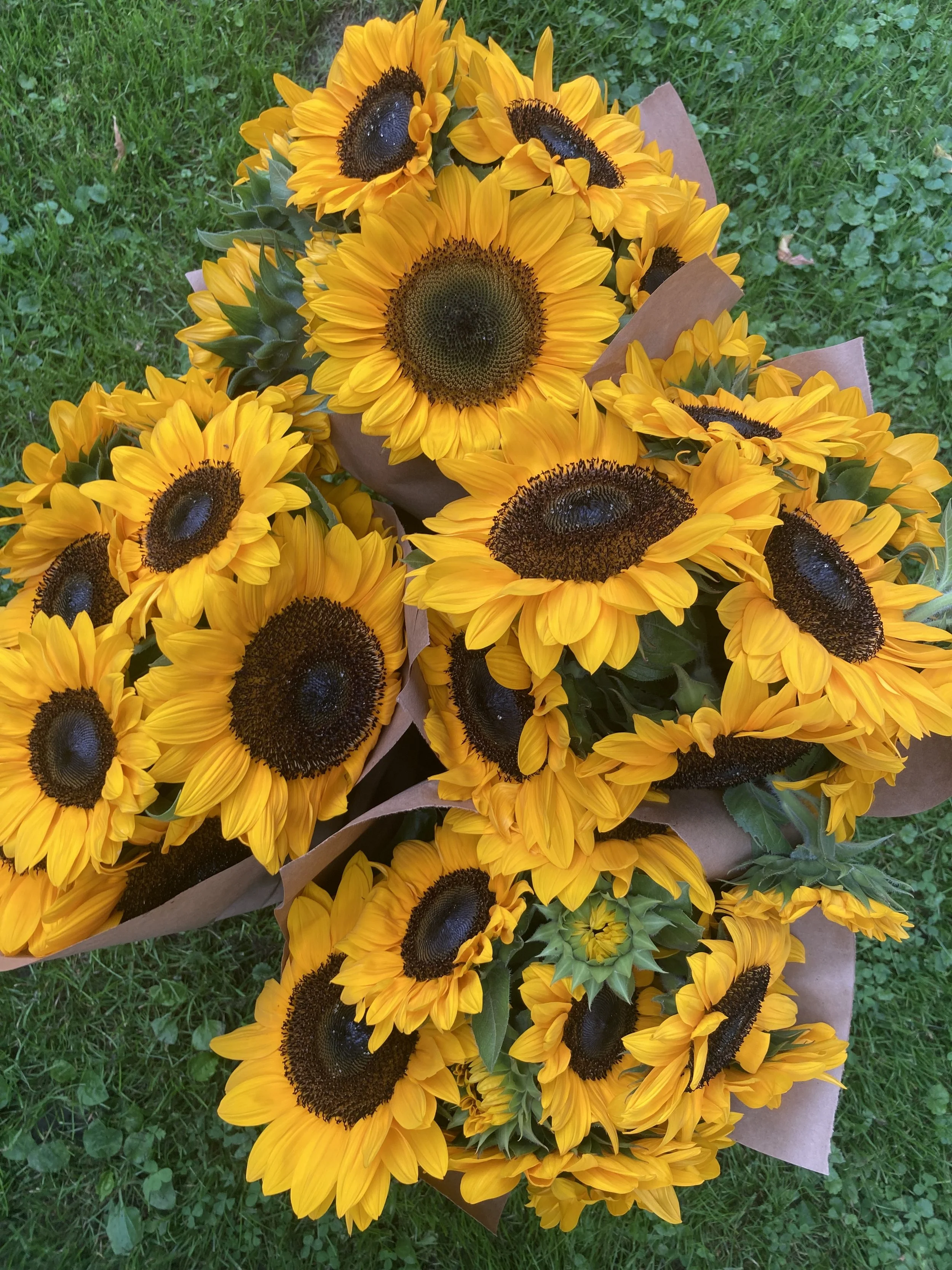 Sunflower Bouquets