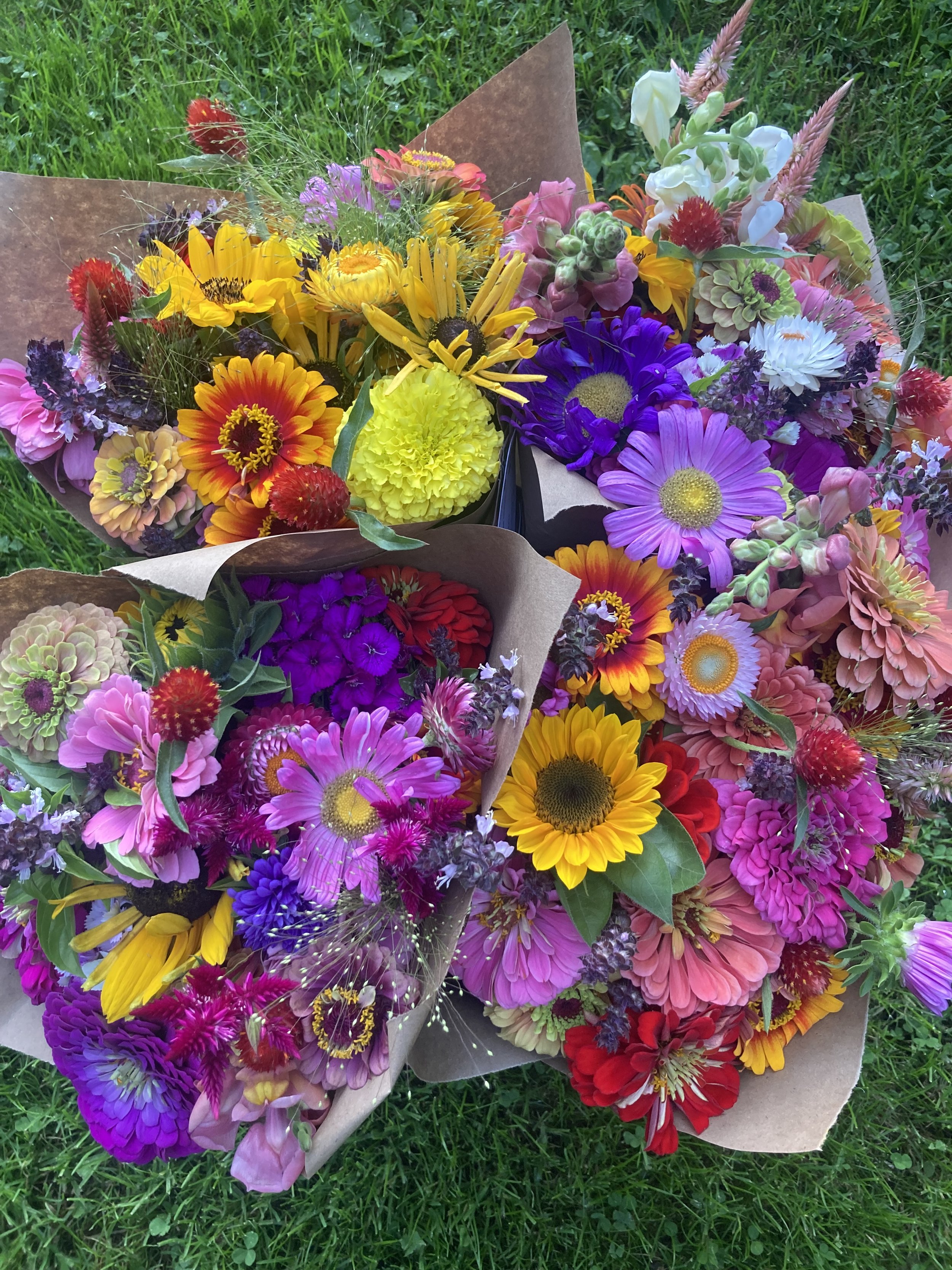 Colorful Eye-Popping Bouquets at Hopewell Market