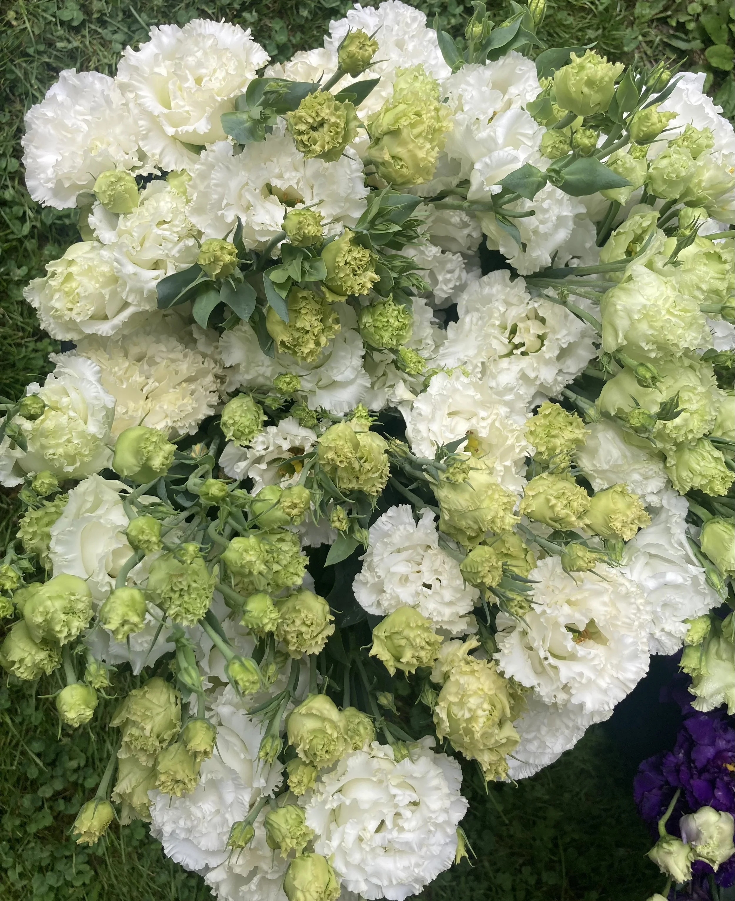 bucket of white lisianthus