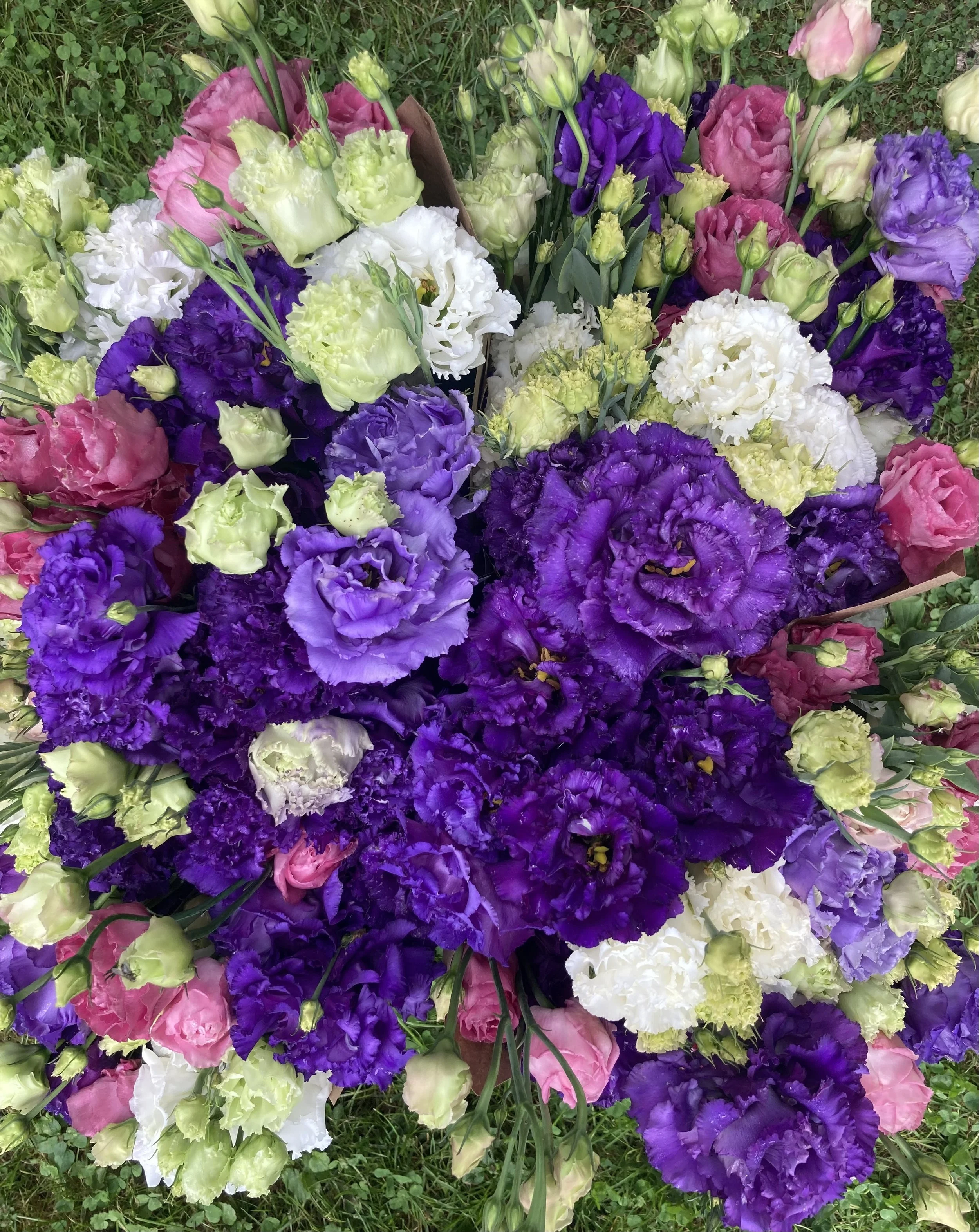 Lovely Lisianthus Bouquets