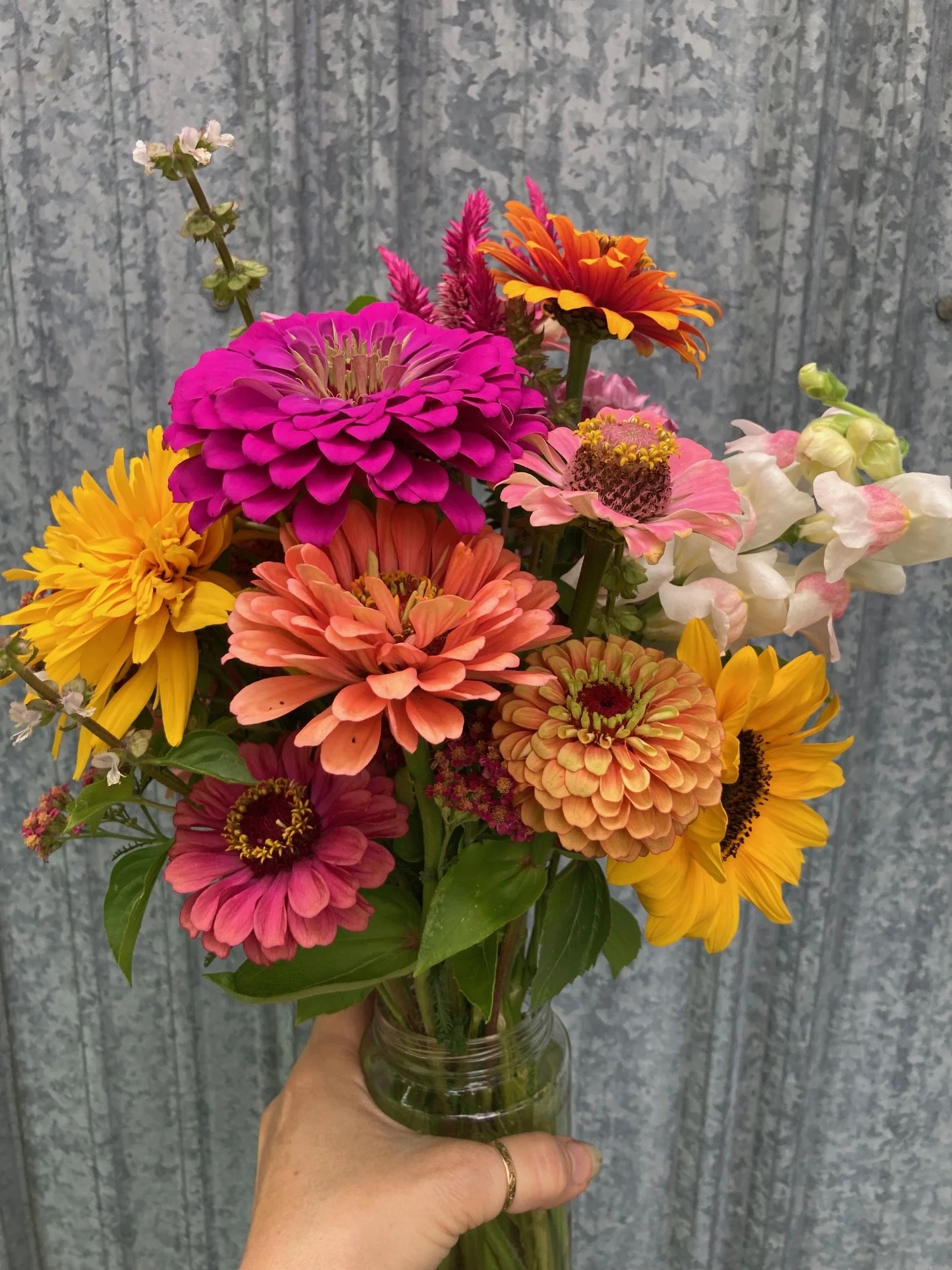 image2 (19).jpeg
