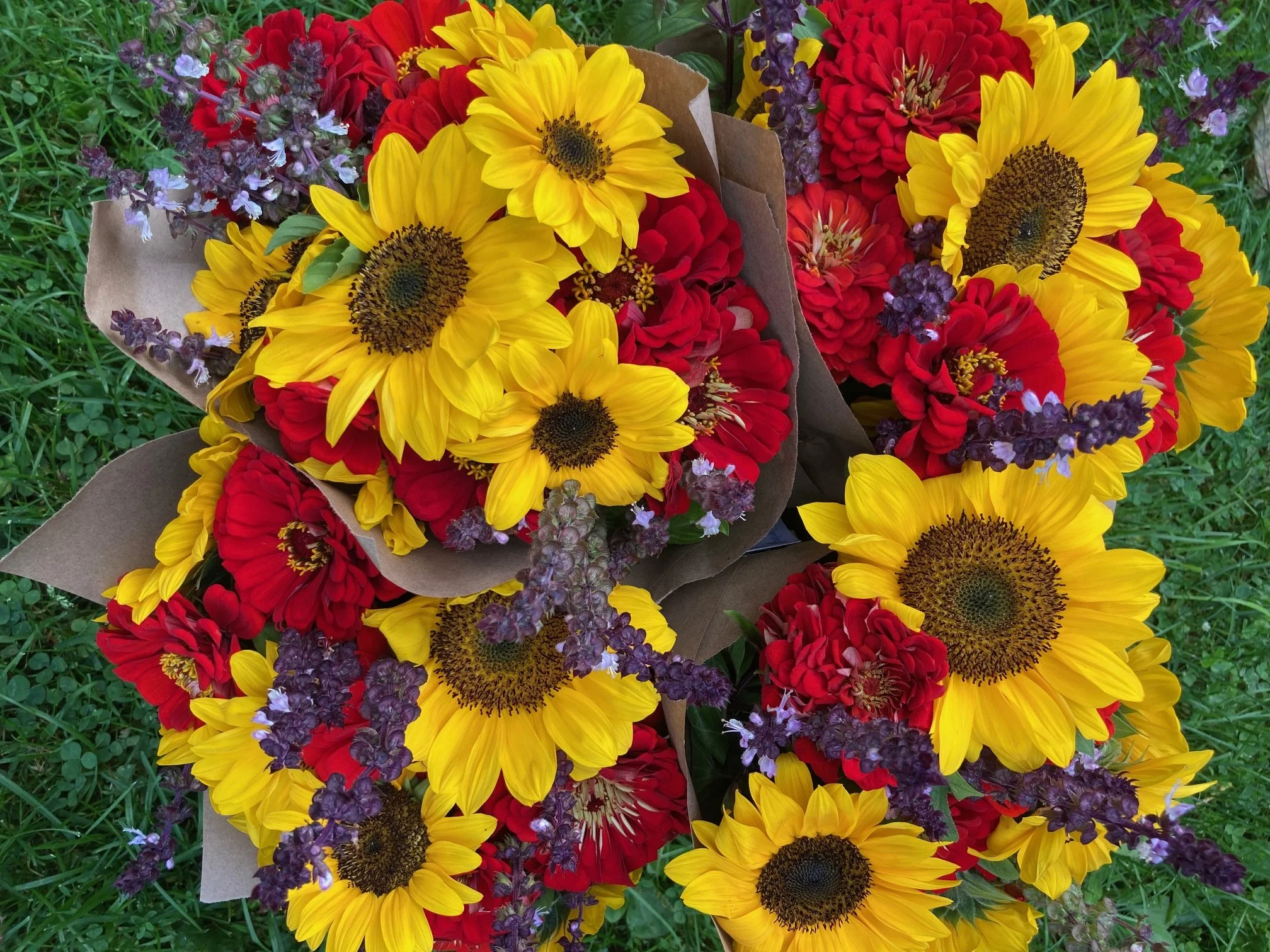 Sunflowers, Red Zinnias and Cinnamon Basil Bouquets