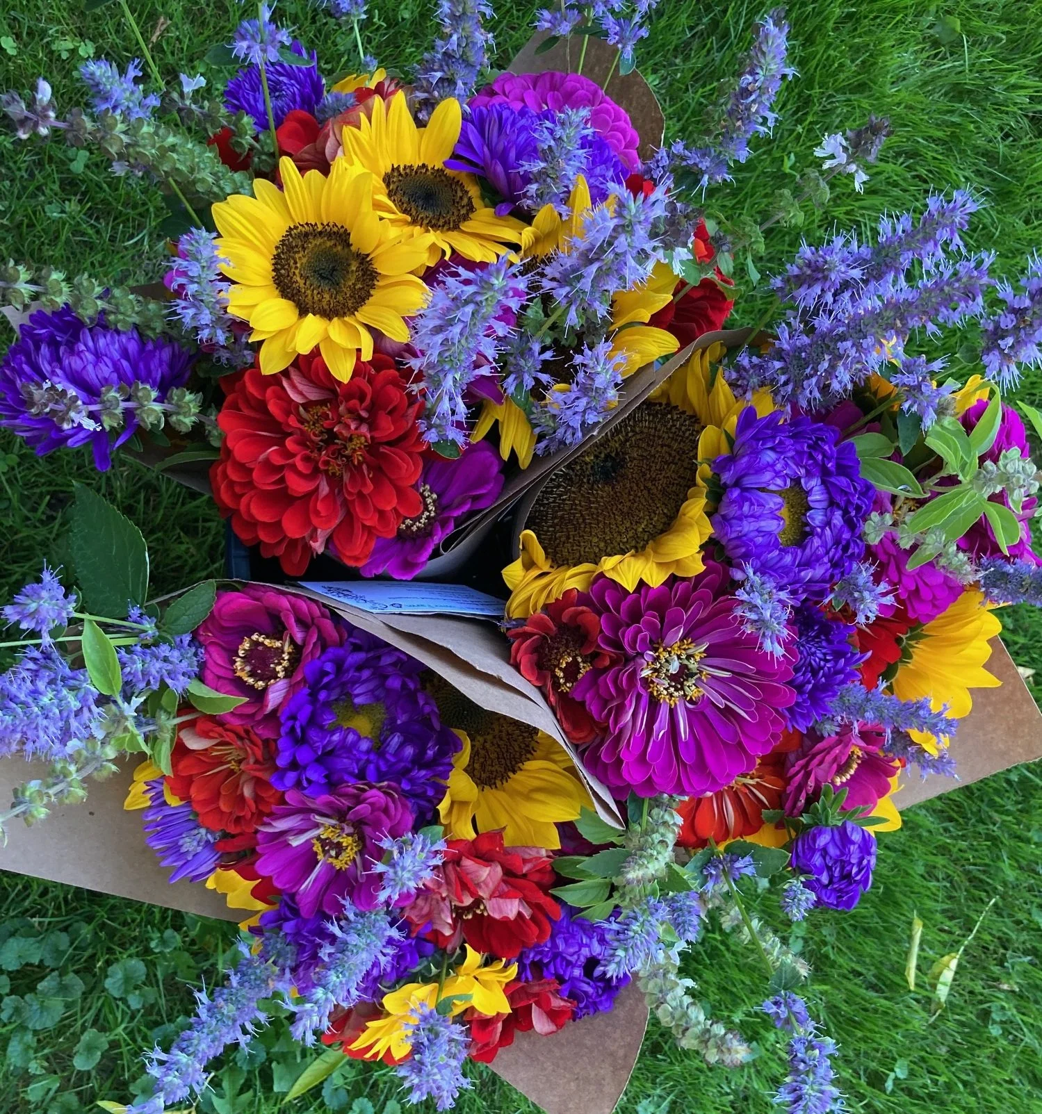 Jewel Tone Bouquets at Hopewell Market